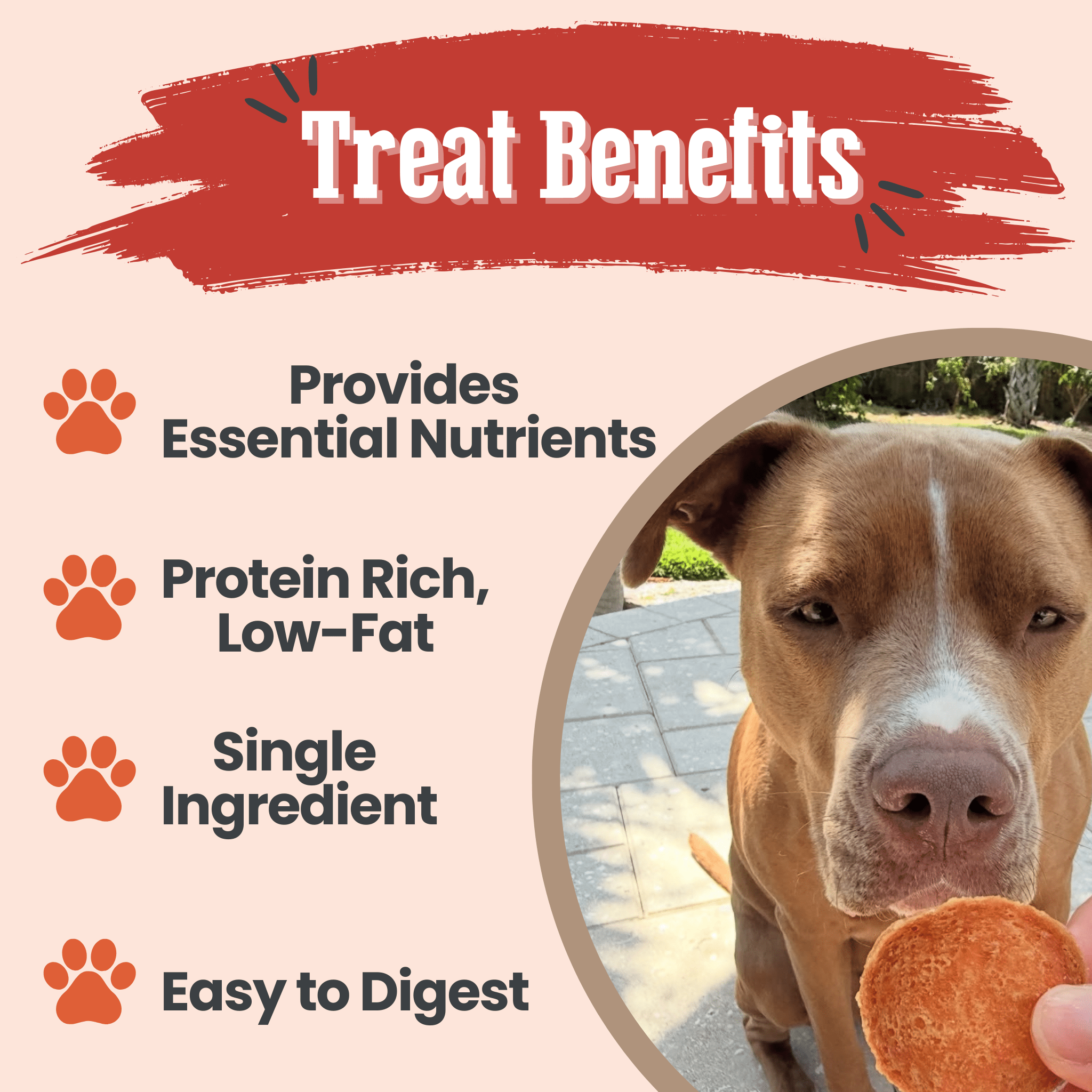 Farm to Pet Turkey Chips with a list of dog treat benefits and a dog staring at a treat.