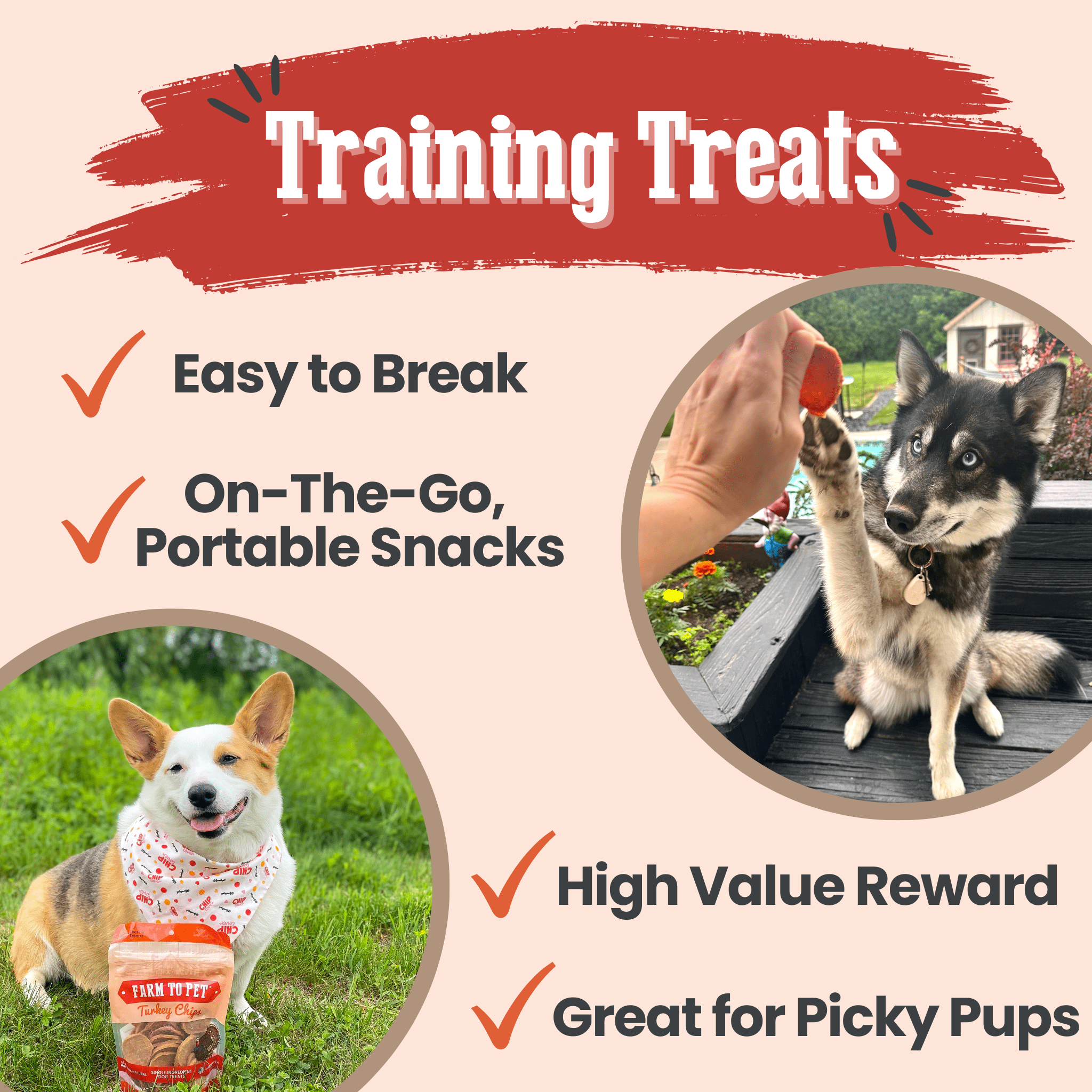 Farm to Pet Dog training treats advertisement with images of two dogs and text highlighting features.