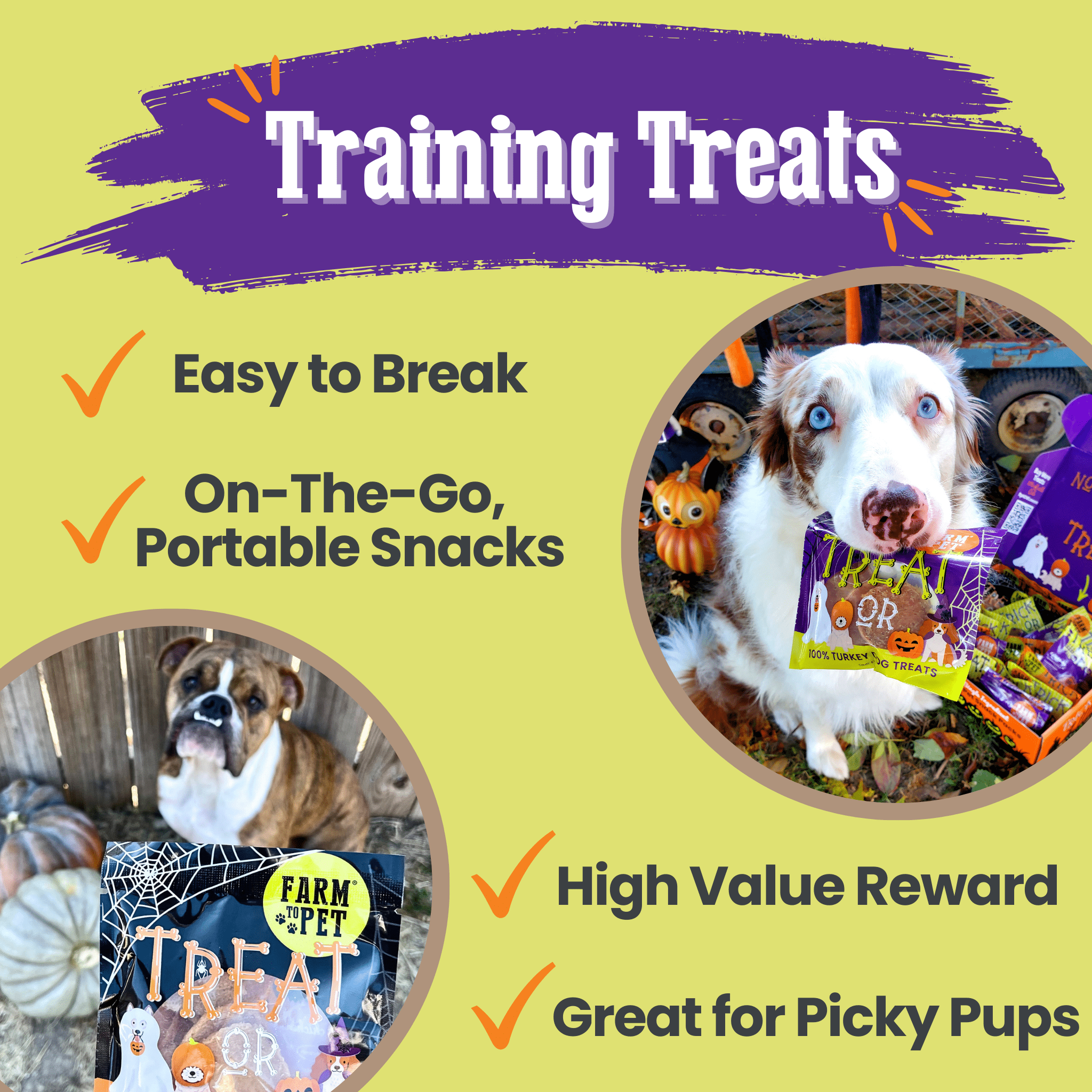 Promotional graphic for dog training treats Farm to Pet Halloween Treats with a dog holding a package and text highlighting features.