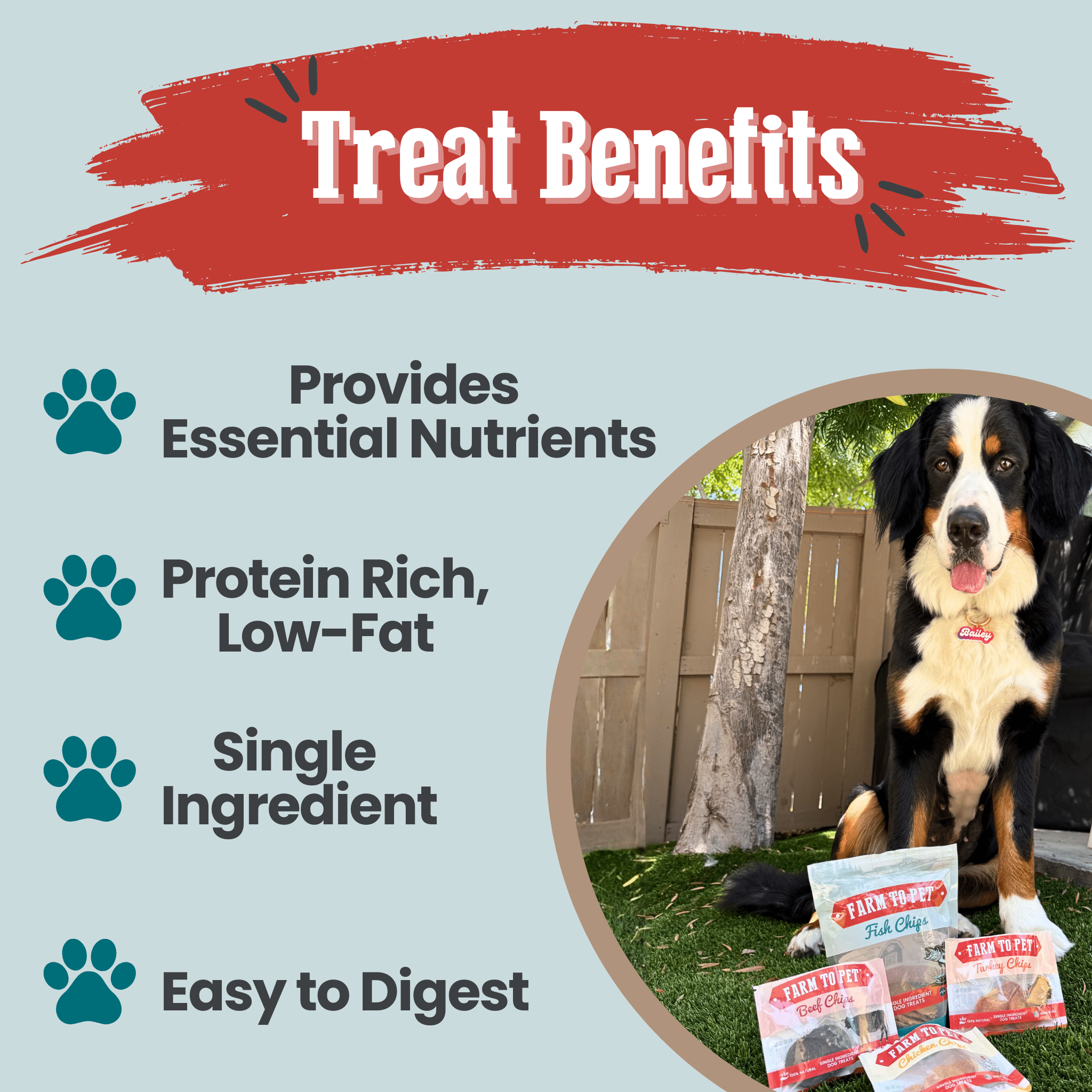 Farm to Pet dog treats with text highlighting benefits on a light blue background. A large dog sitting with treats in front of him.