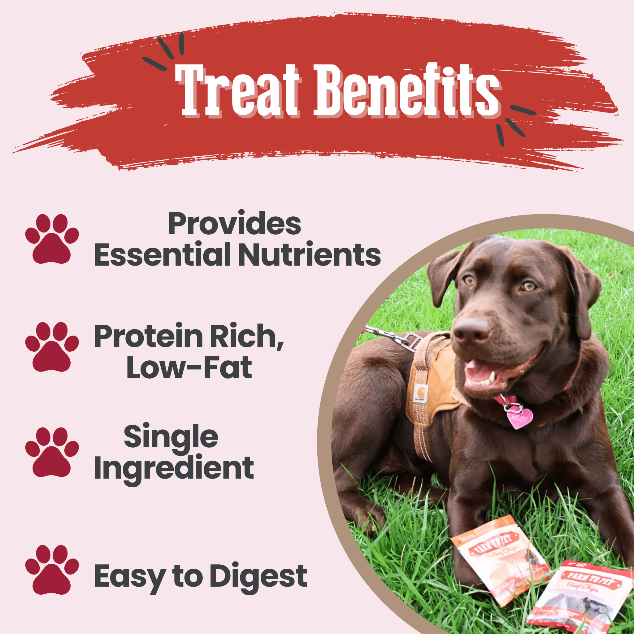 Dog lying on grass with treats and text about treat benefits on a white background.