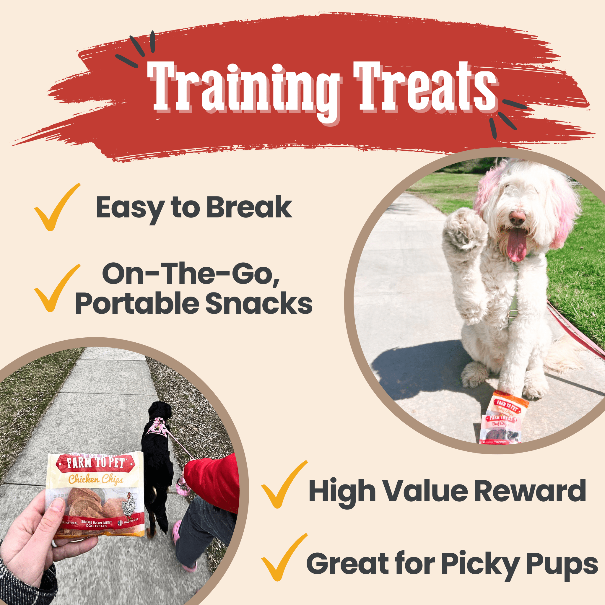 A white doodle lifting a paw for a Farm to Pet treat.   A dog on a leash walking on a sidewalk with a person holding treats, labeled 'Training Treats'.