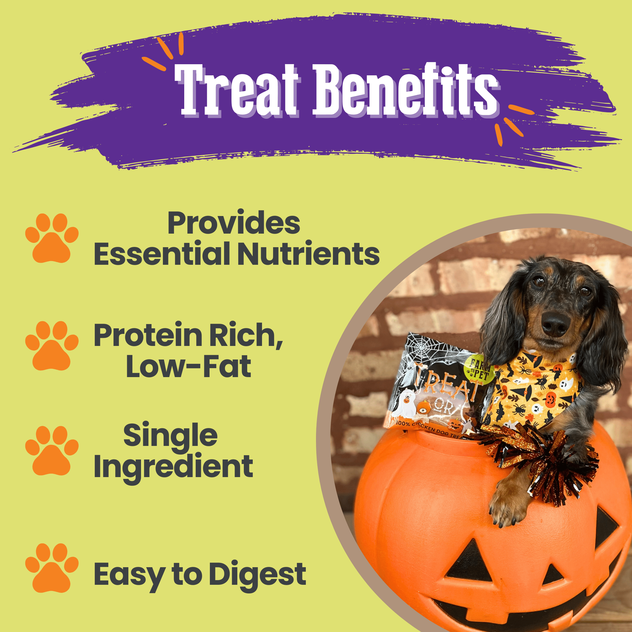 Farm to Pet Trick or Treat Chip Mix with Chicken, Turkey, Beef and Fish in a Halloween-themed design bags on a green background.  Dog in a Halloween costume with treat benefits listed on a green background