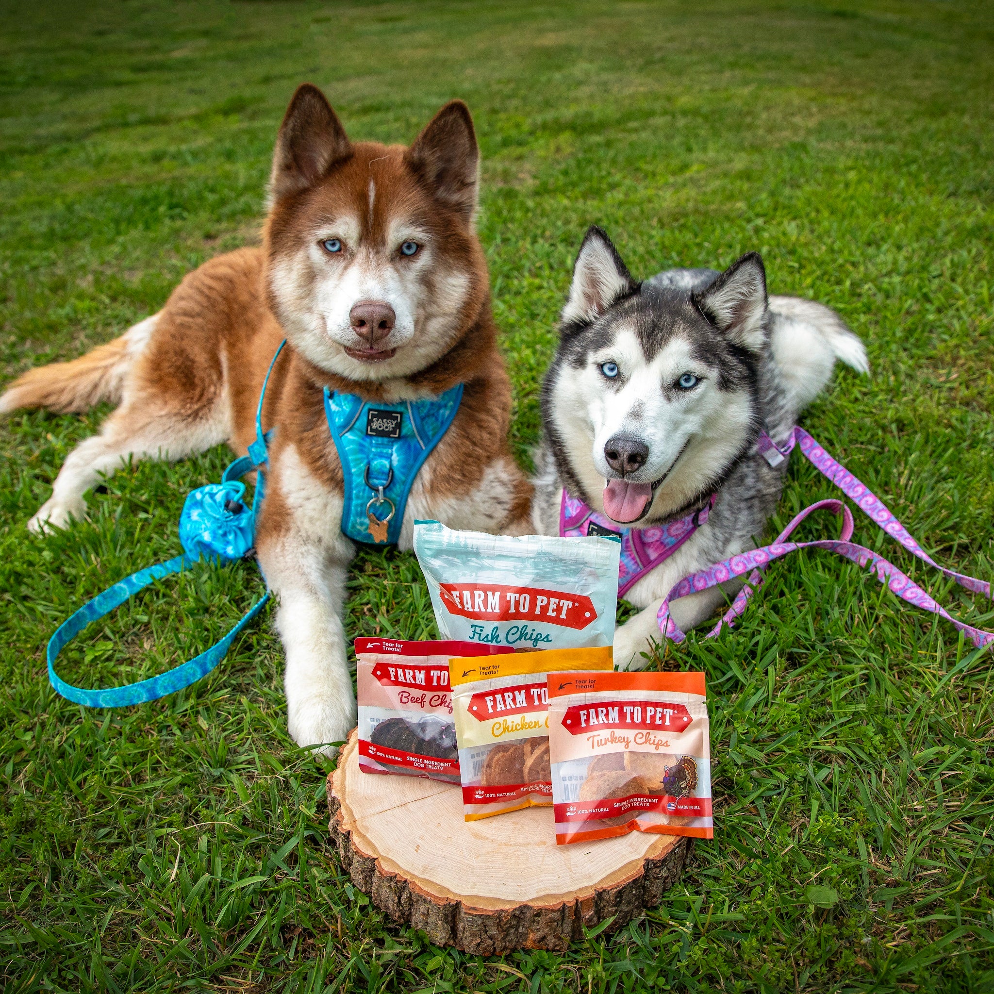 Two huskies sitting on grass with 'Farm to Pet' dog food packages in front of them.