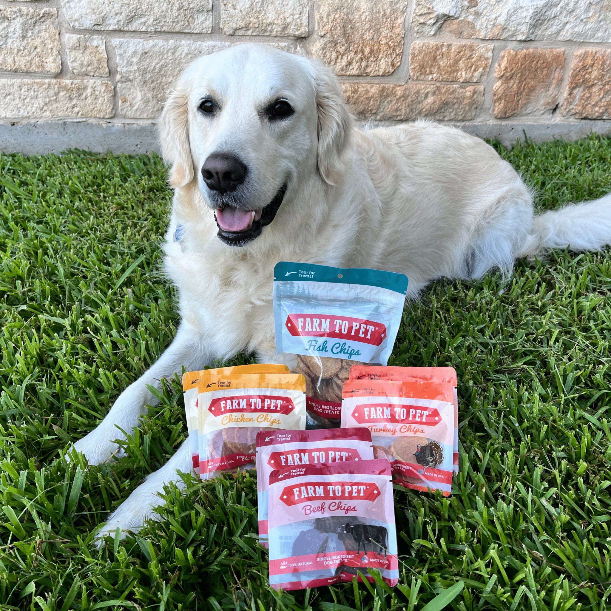 A white dog laying  on grass with 'Farm to Pet' pet food packages.