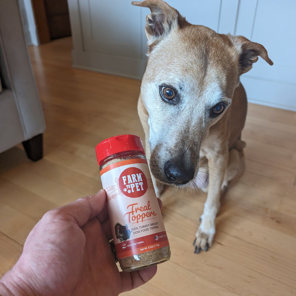 A brown dog indoors sitting with a jar of Farm to Pet Turkey Treat Dog Food Toppers.