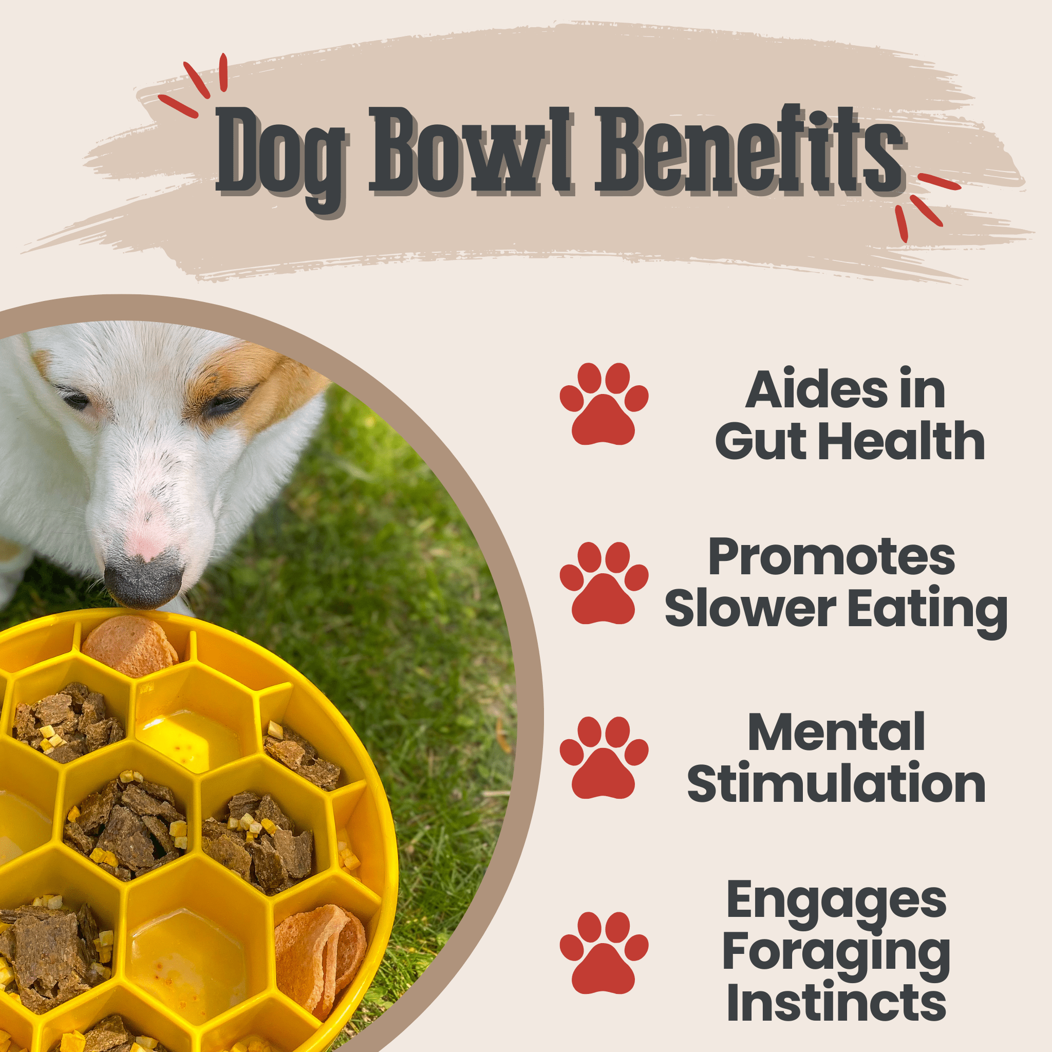 Farm to Pet Slow Feeder Dog bowl with food and a dog eating, labeled 'Dog Bowl Benefits' on a beige background.