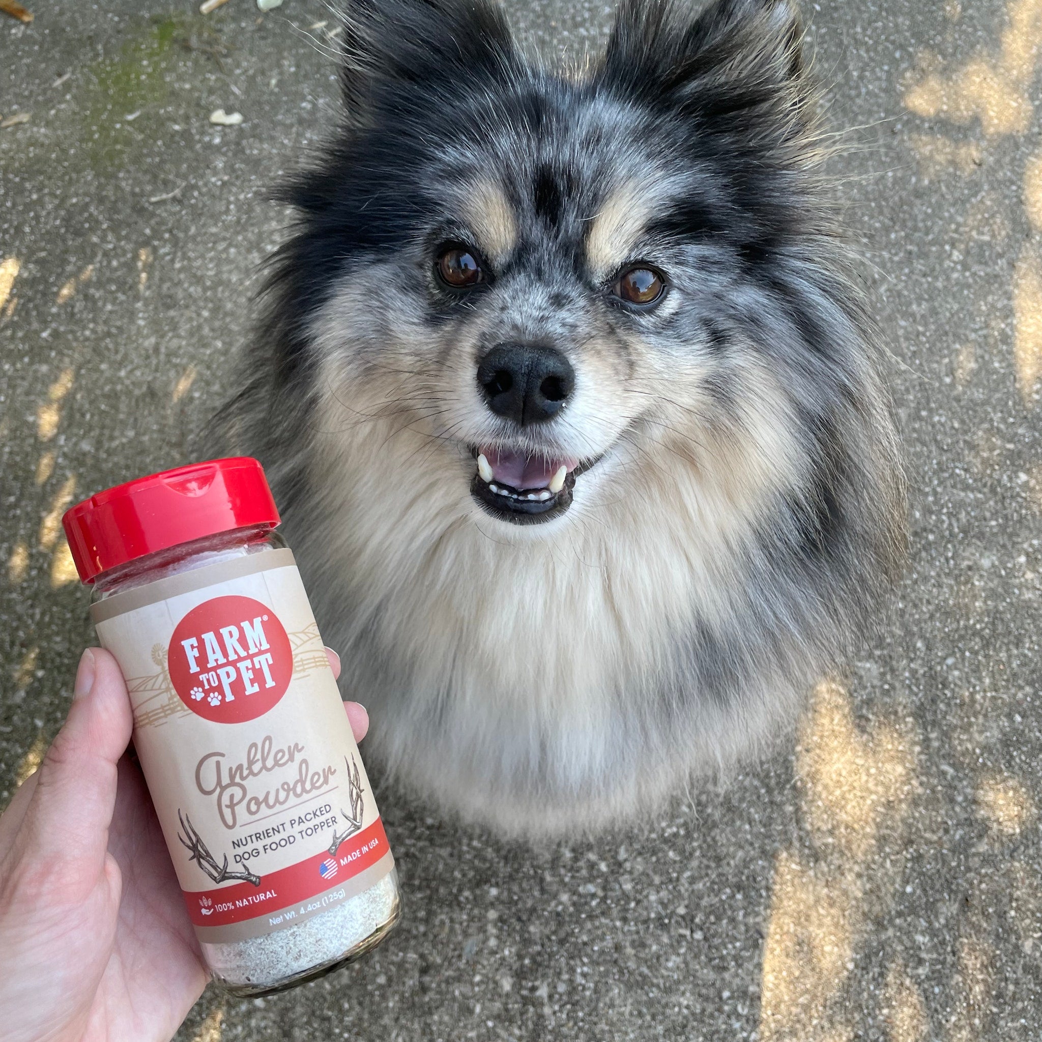 Dog looking at a jar of 'Farm & Pet' antler powder held by a person.