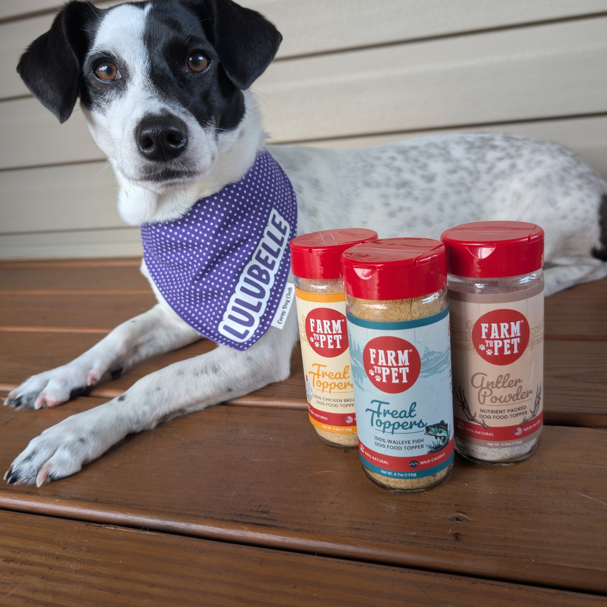 Dog wearing a purple bandana with her name Lulubelle on it sitting next to three 'Farm to Pet' Treat Toppers on a wooden surface.