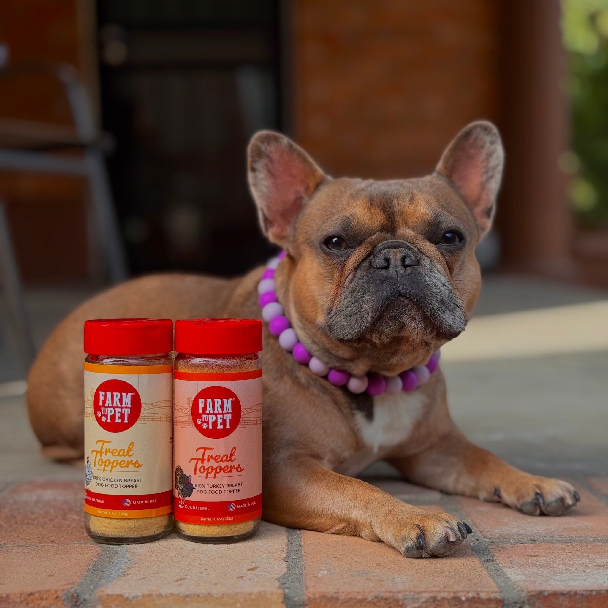 A brown dog wearing a purple and white necklace lying on a brick surface with two 'Farm to Pet' treat toppers in front of it.