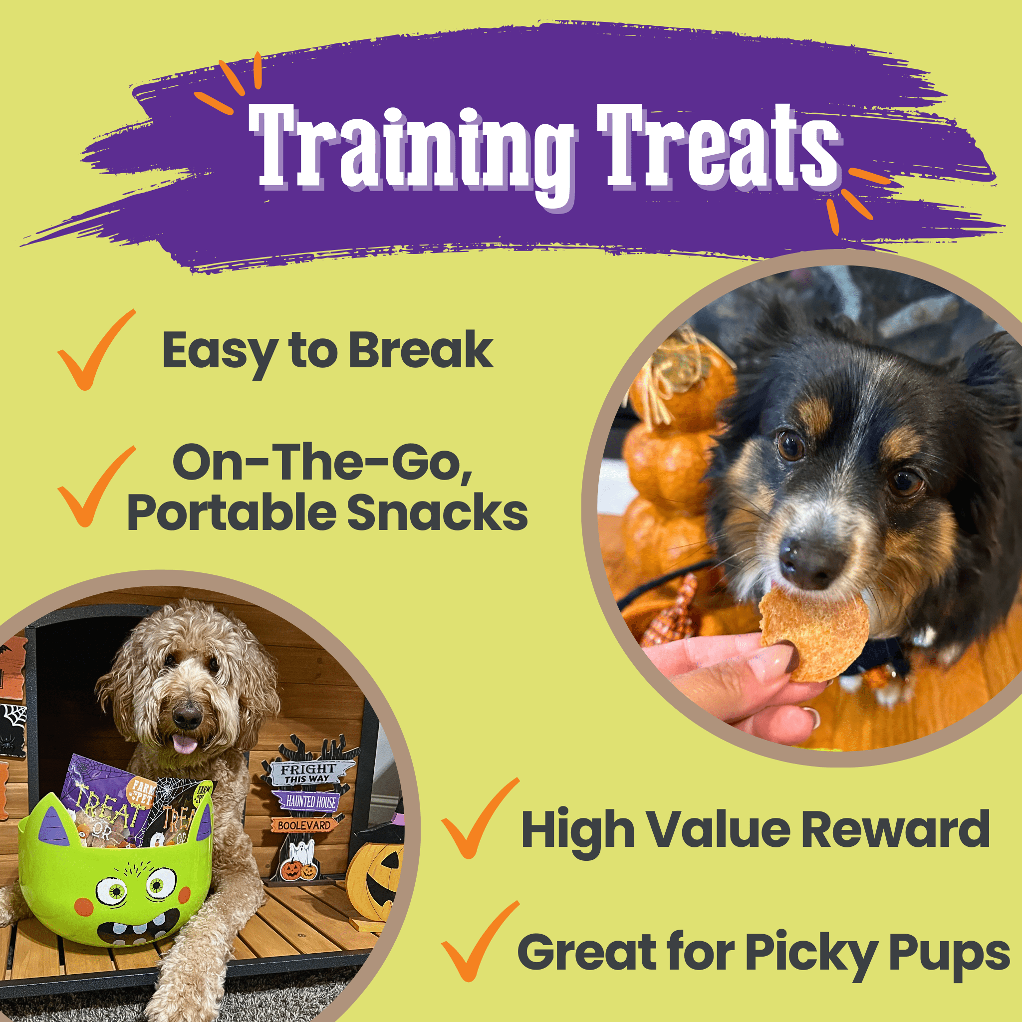 Farm to Pet Trick or Treat Chip Mix with Chicken, Turkey, Beef and Fish in a Halloween-themed design bags on a green background. front of bags Dog training treats with a green background, text highlighting features, and images of dogs and treats.