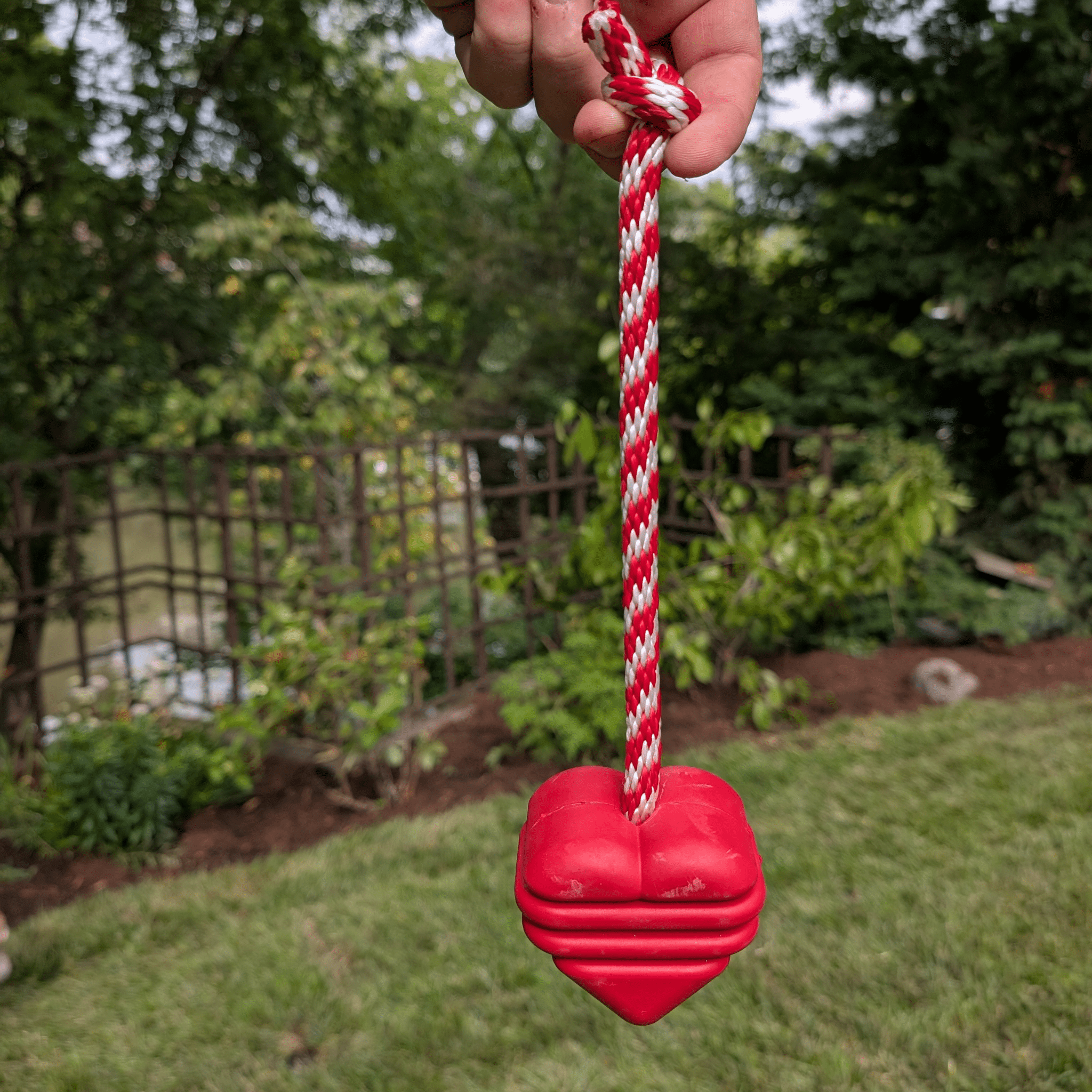 Farm to Pet Tug Toy Heart on a String Red dog tug with a red and white rope handle held by a hand outdoors.