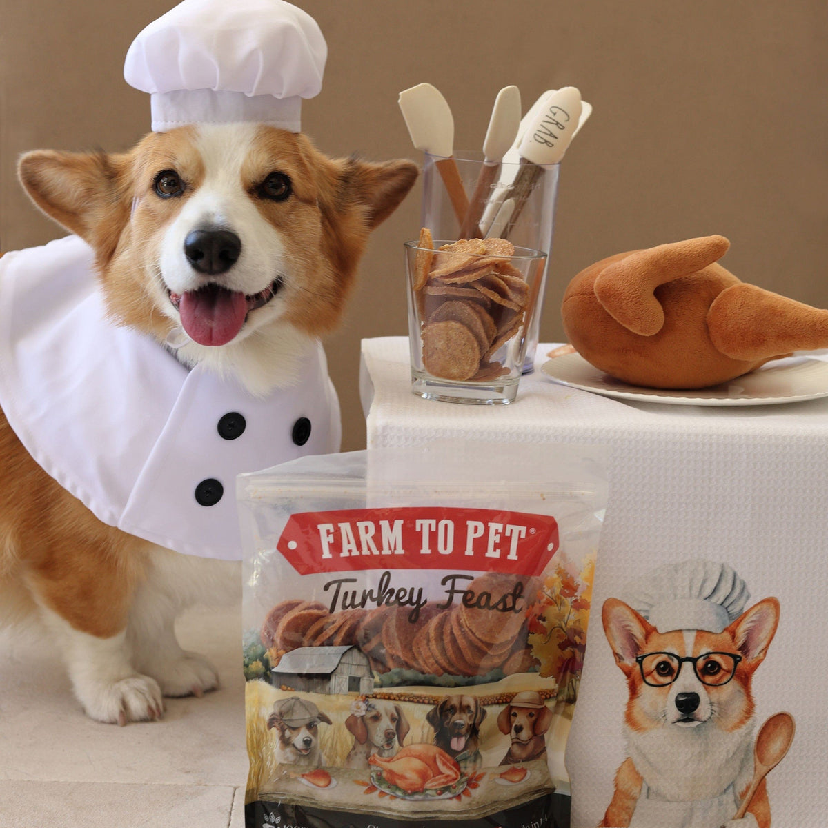 A smiling corgi in a chef hat and apron next to a bag of Farm to Pet Turkey Feast Chips and a glass of turkey dog treats.