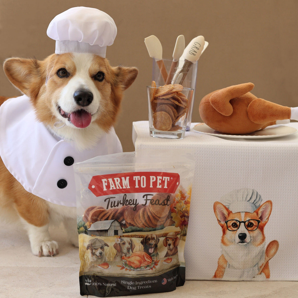 A corgi dressed as a chef standing beside a bag of Farm to Pet Turkey Feast Chips single-ingredient turkey dog treats.