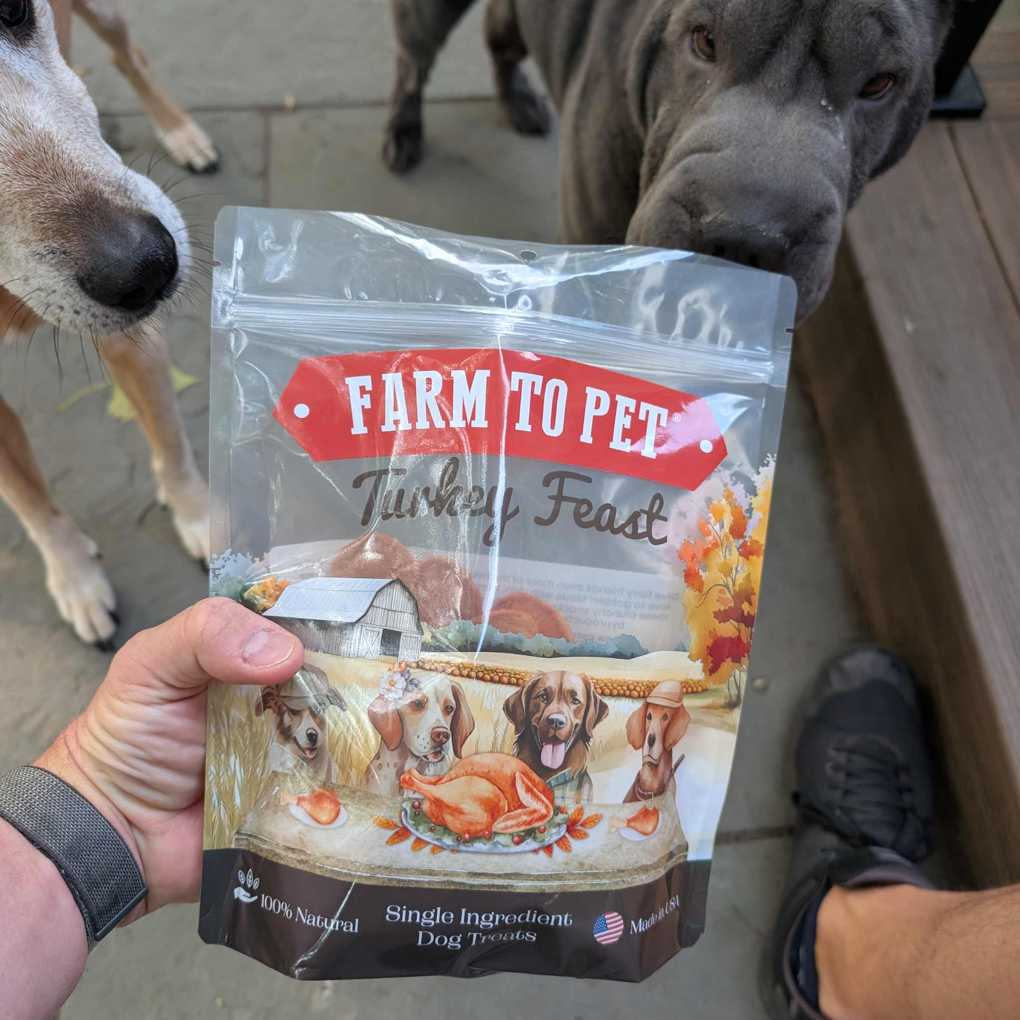 Person holding a 'Farm to Pet Turkey Feast' dog treat package with two dogs in the background.