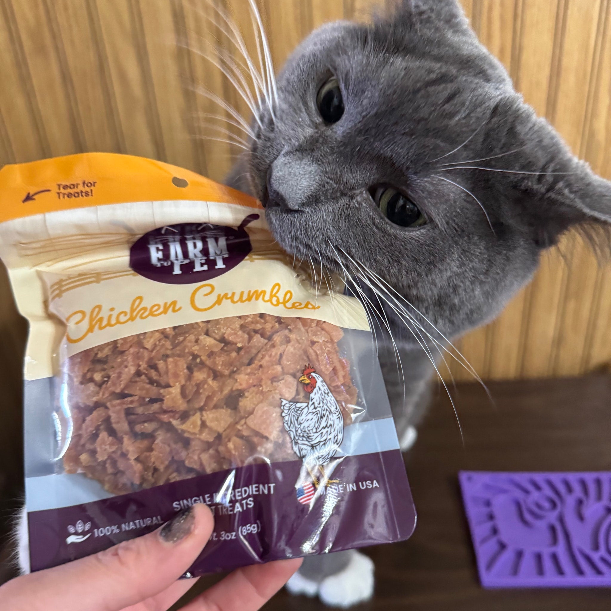 A Gray Cat sniffing a package of Farm Pet Chicken Cat Crumbles treats front of bag with purple Love Lick mat in background.