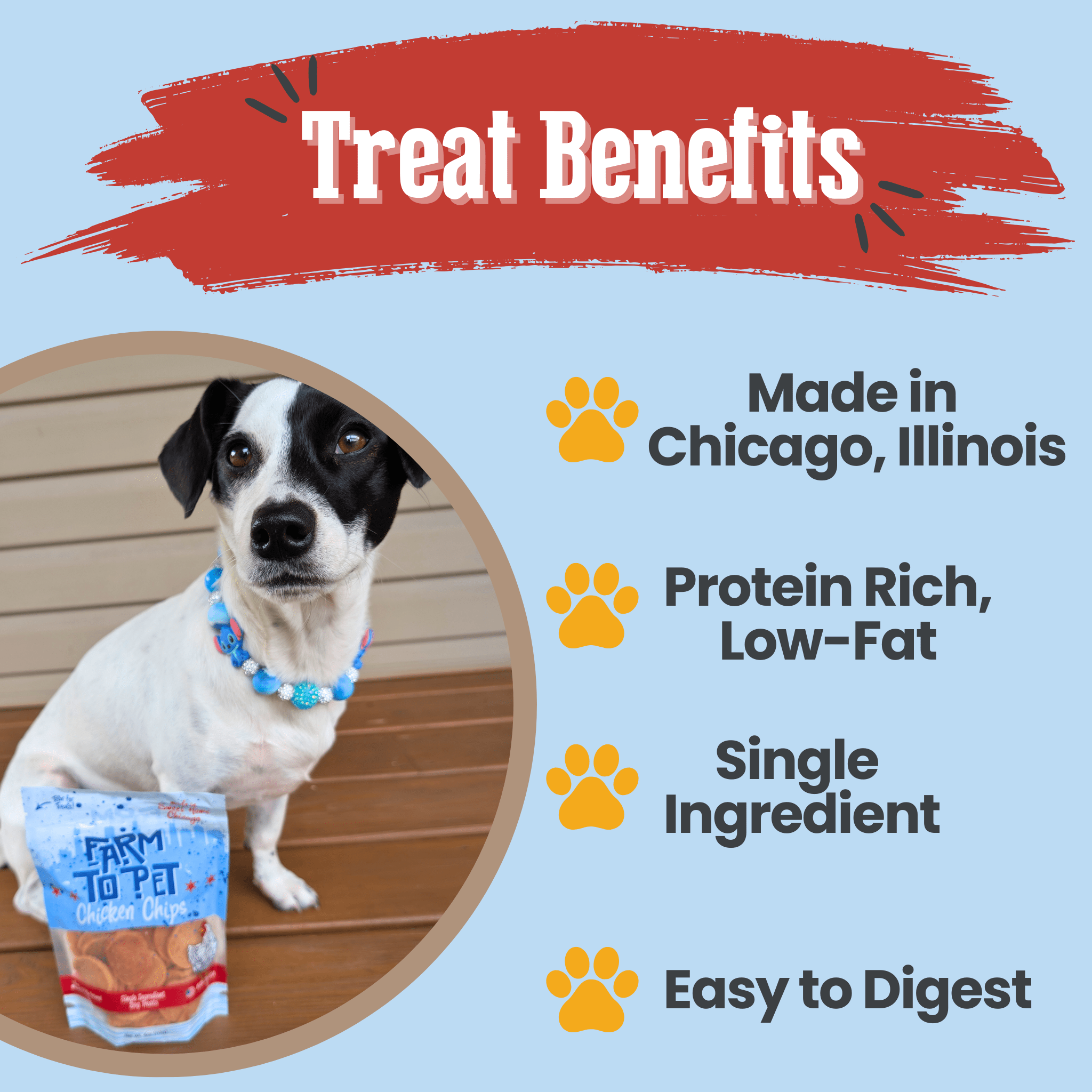 A black and white dog with a Farm to Pet Chicago bag of chicken chips   treat package and text about treat benefits on a blue background.