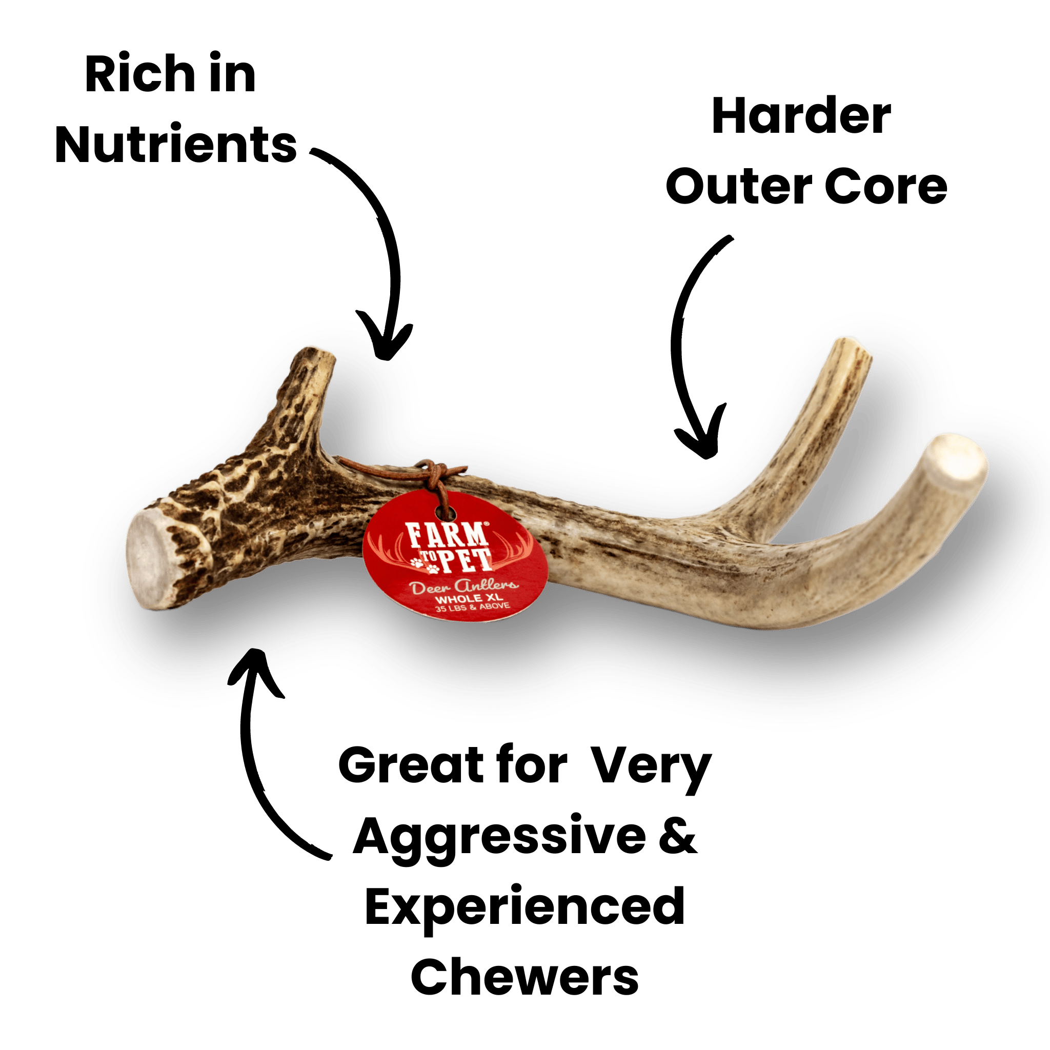 My antler dog chews top