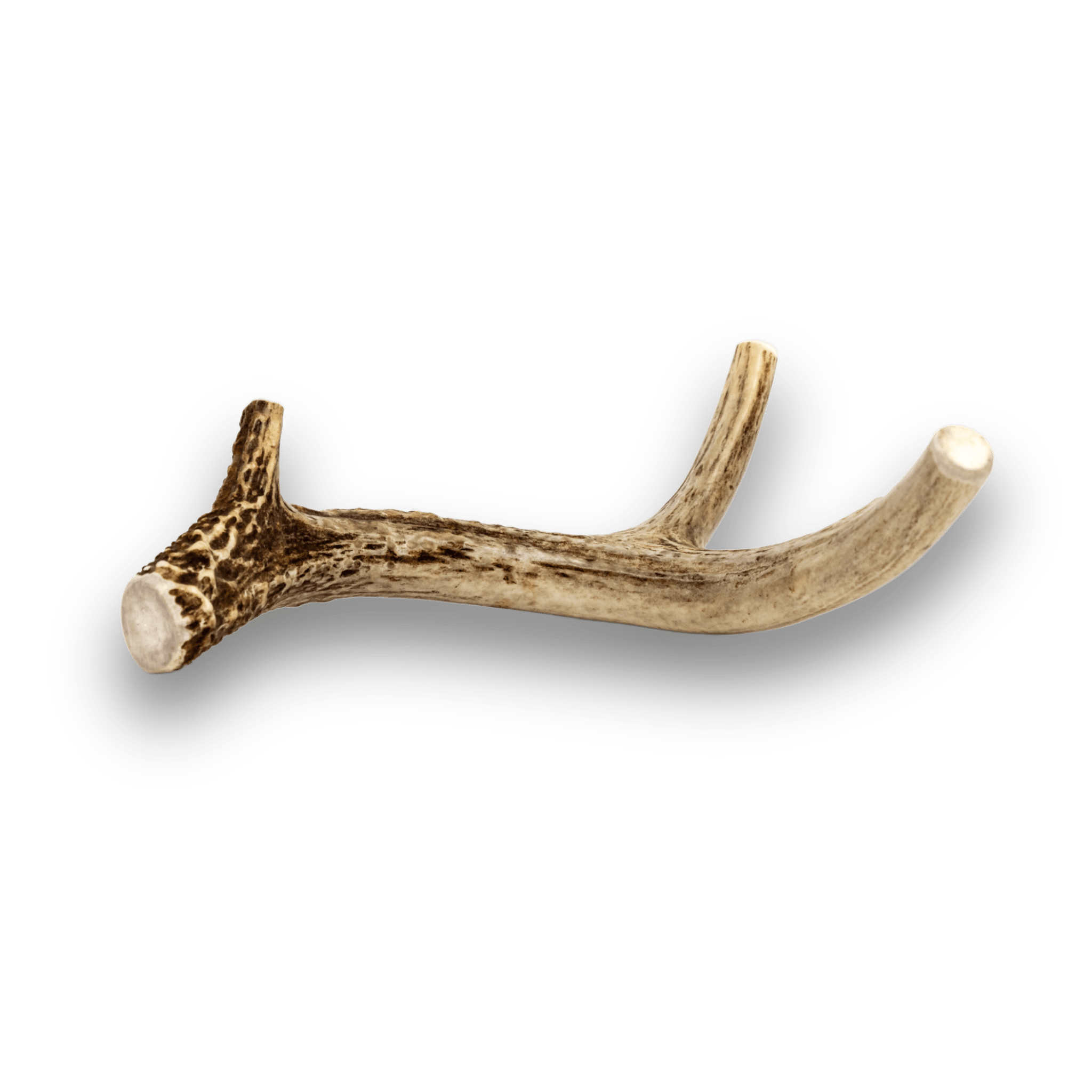 Farm to Pet Deer Antlers for Dogs