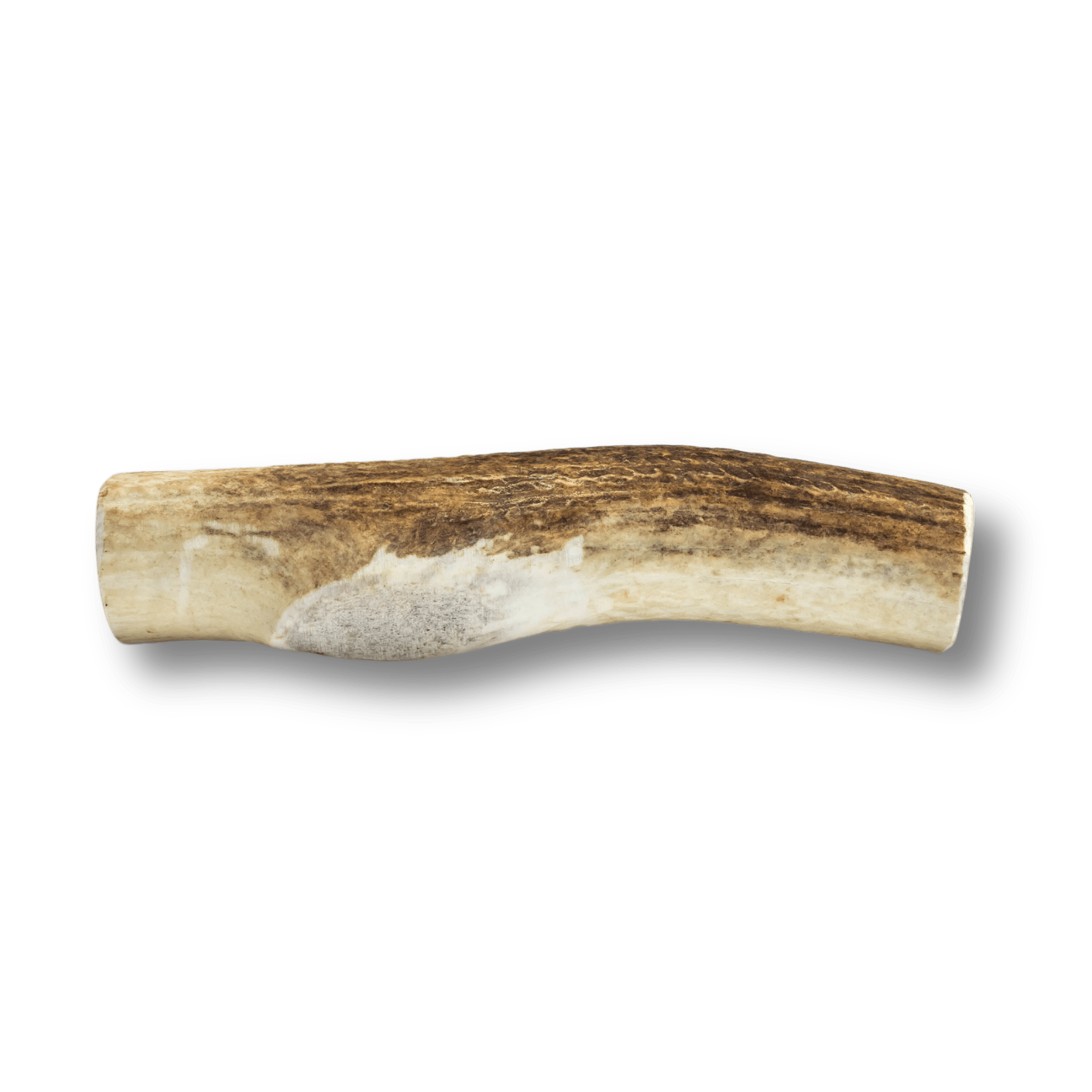 Whole Elk Antlers for Dogs Elk Antler Dog Chew Farm To Pet