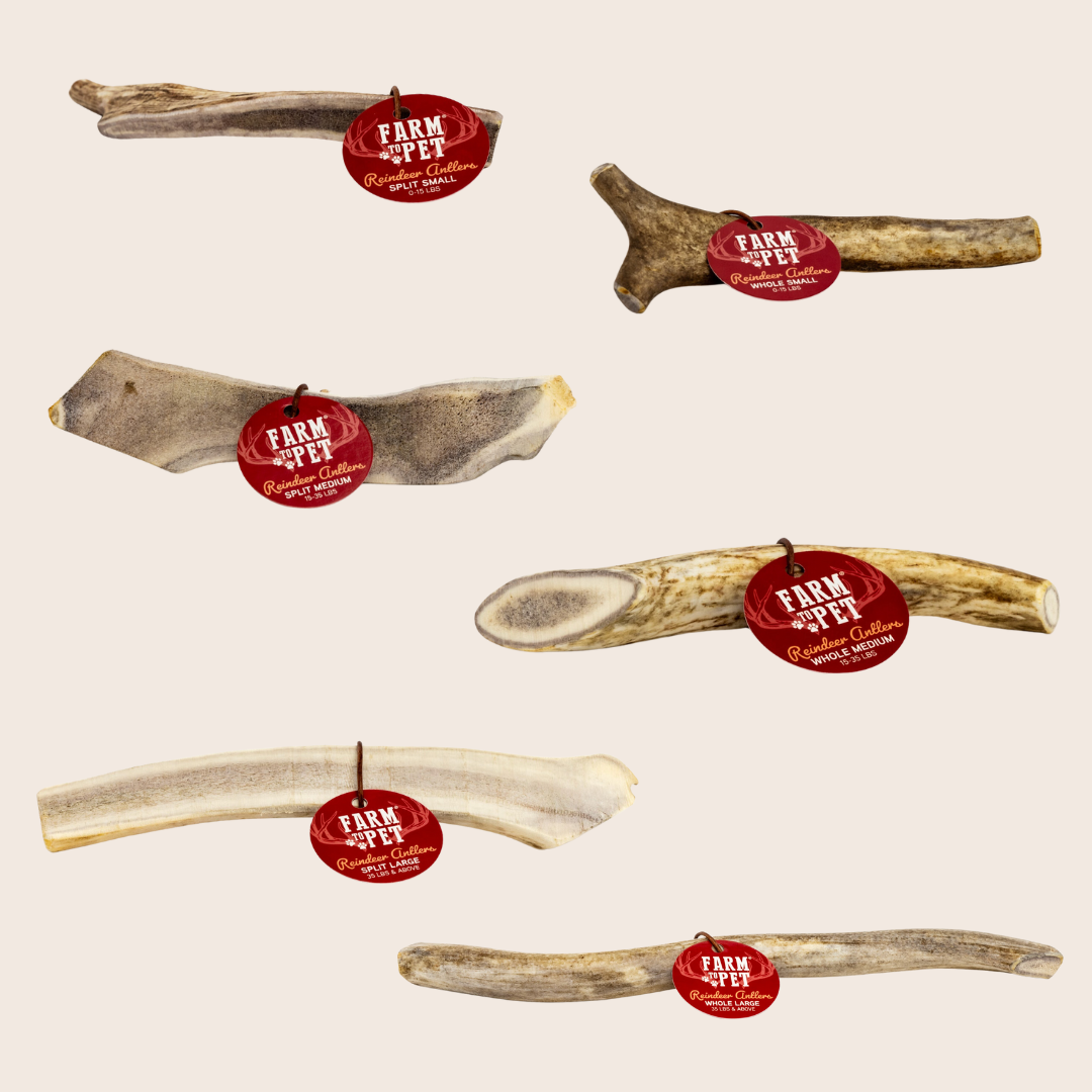 Product Picture of Farm to Pet Whole and Split Reindeer Antlers for Dogs in cream color background.