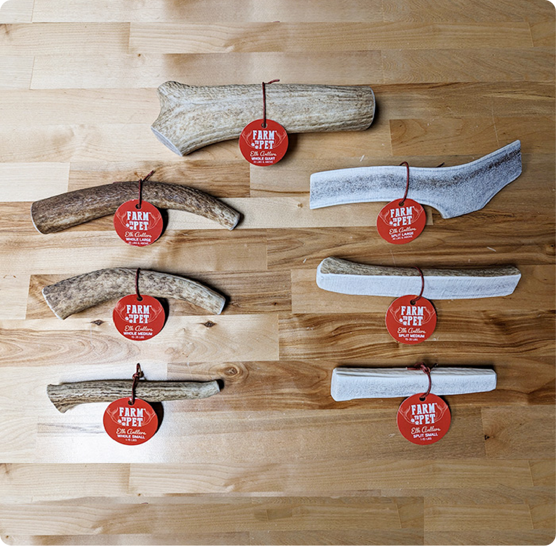 Elk Antlers for Dogs, All-Natural Elk Antler Dog Chew – Farm To Pet