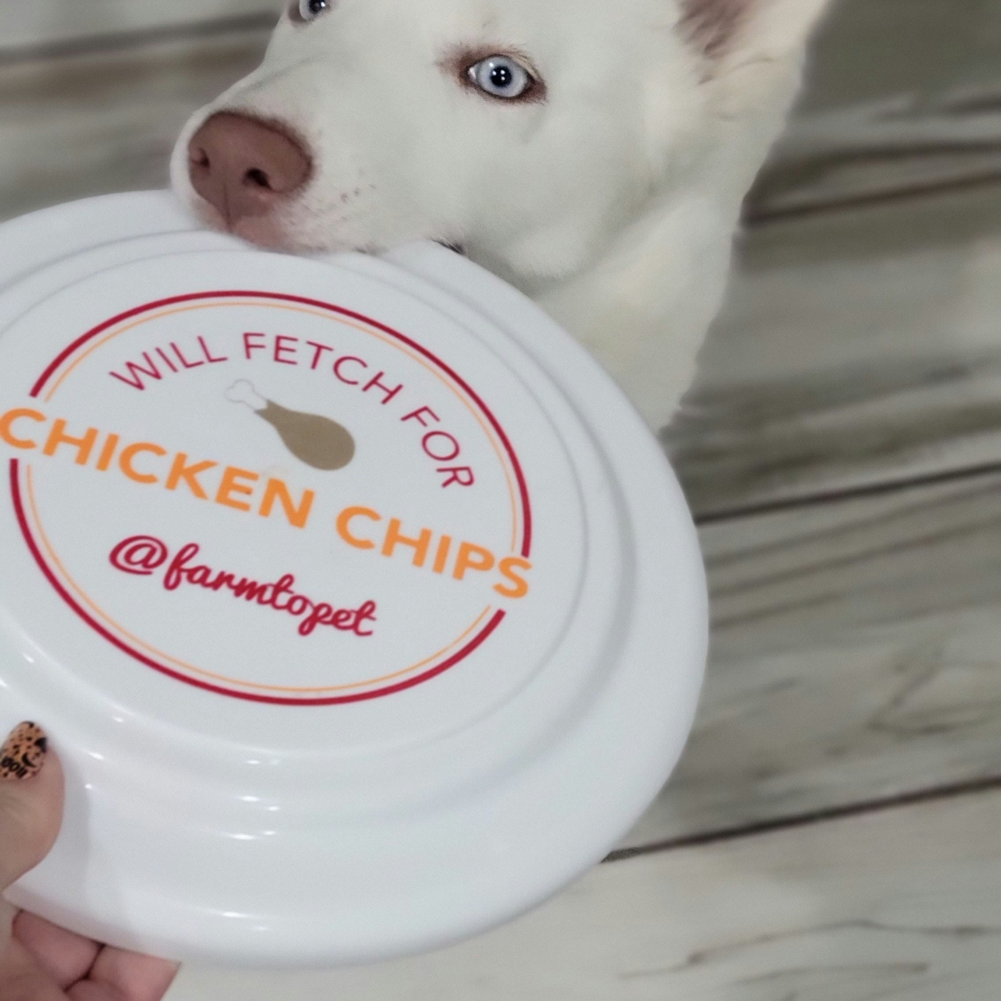 A white dog with a Farm to Pet Will Fetch for chicken chips frisbee in it's mouth.