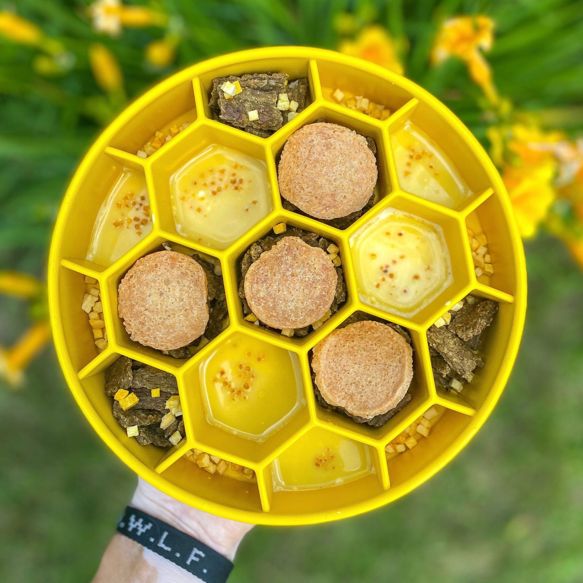 A Farm to Pet Yellow honeycomb dog bowl with Farm to Pet treats on a natural background.