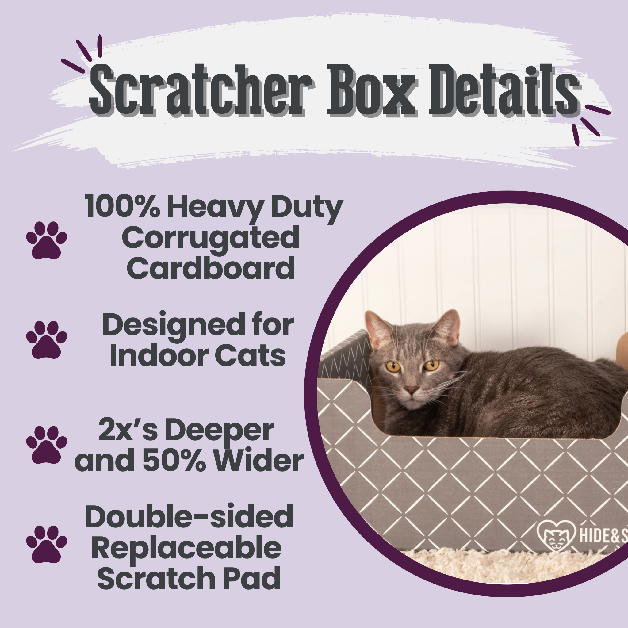 Cat scratcher box details with a cat on a purple background