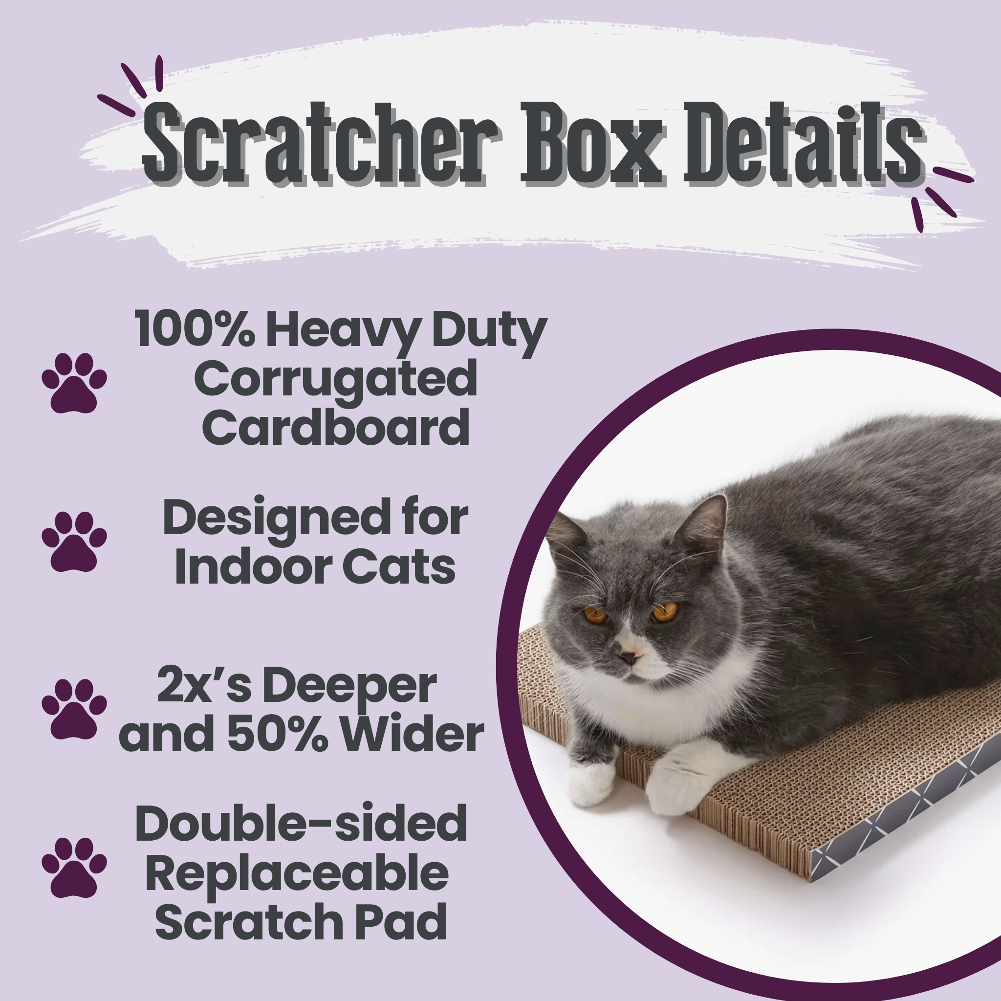 Cat scratcher box with features listed on a purple background