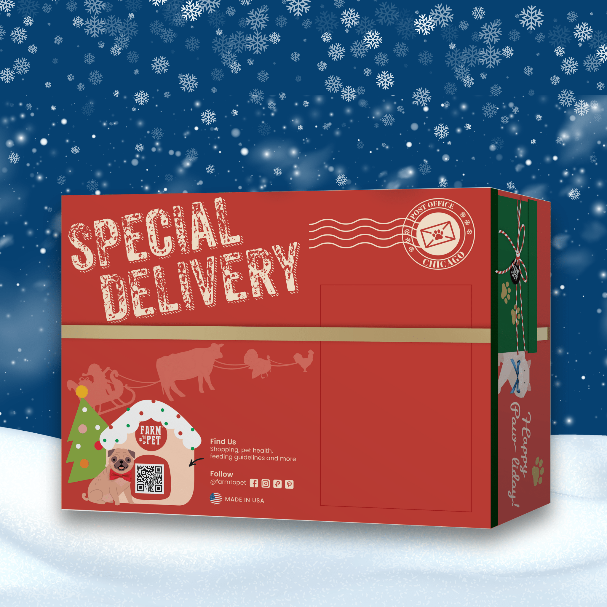 Red Christmas-themed box labeled 'Special Delivery' with a snowy background for dogs from Farm to Pet.
