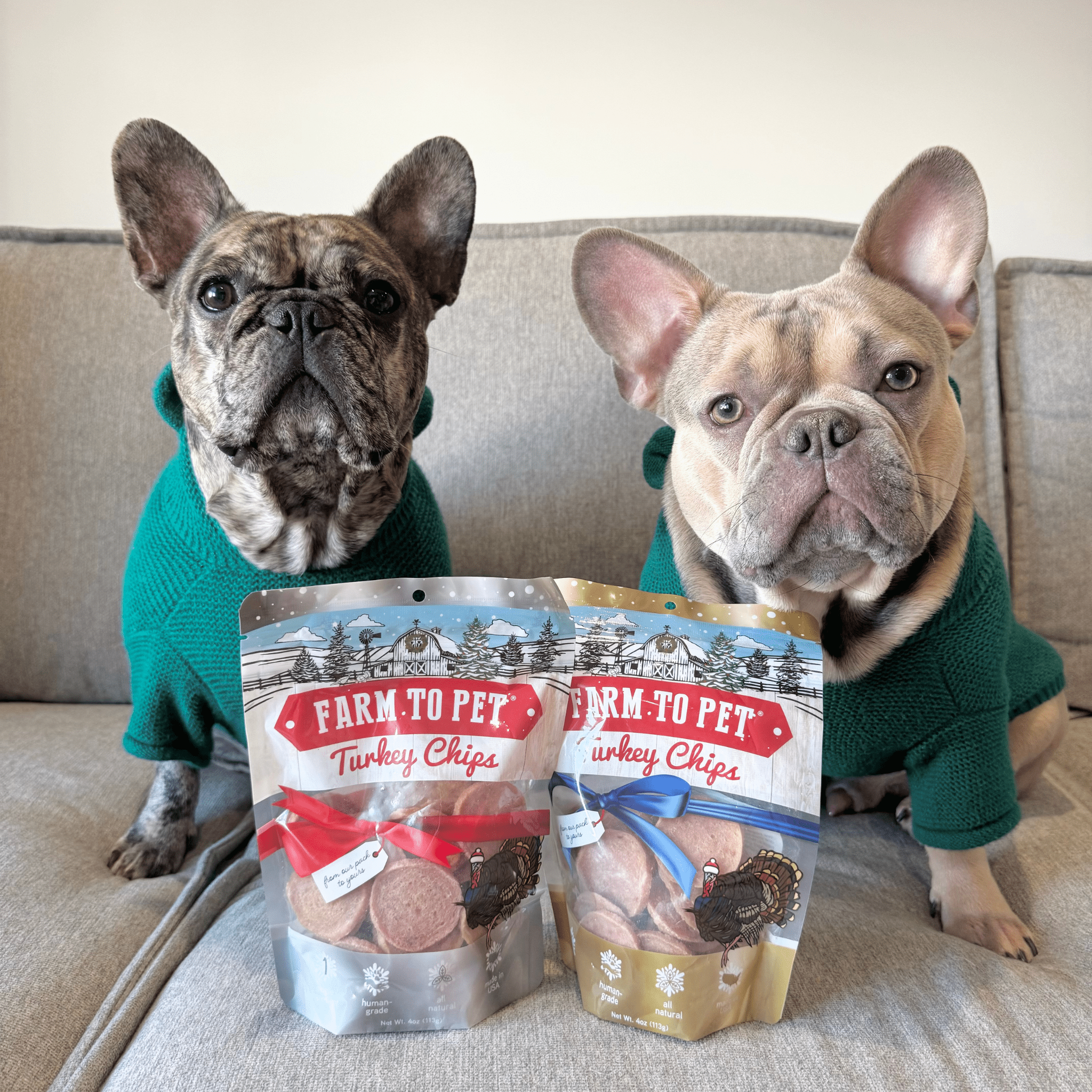 Two dogs wearing green sweaters with 'Farm to Pet' turkey chips packaging in front of them.