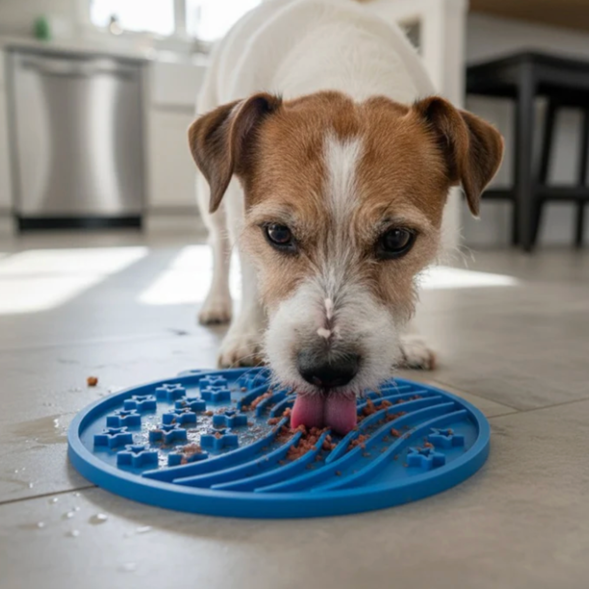 Dog eating from a blue slow feeder lick mat on a kitchen floor.