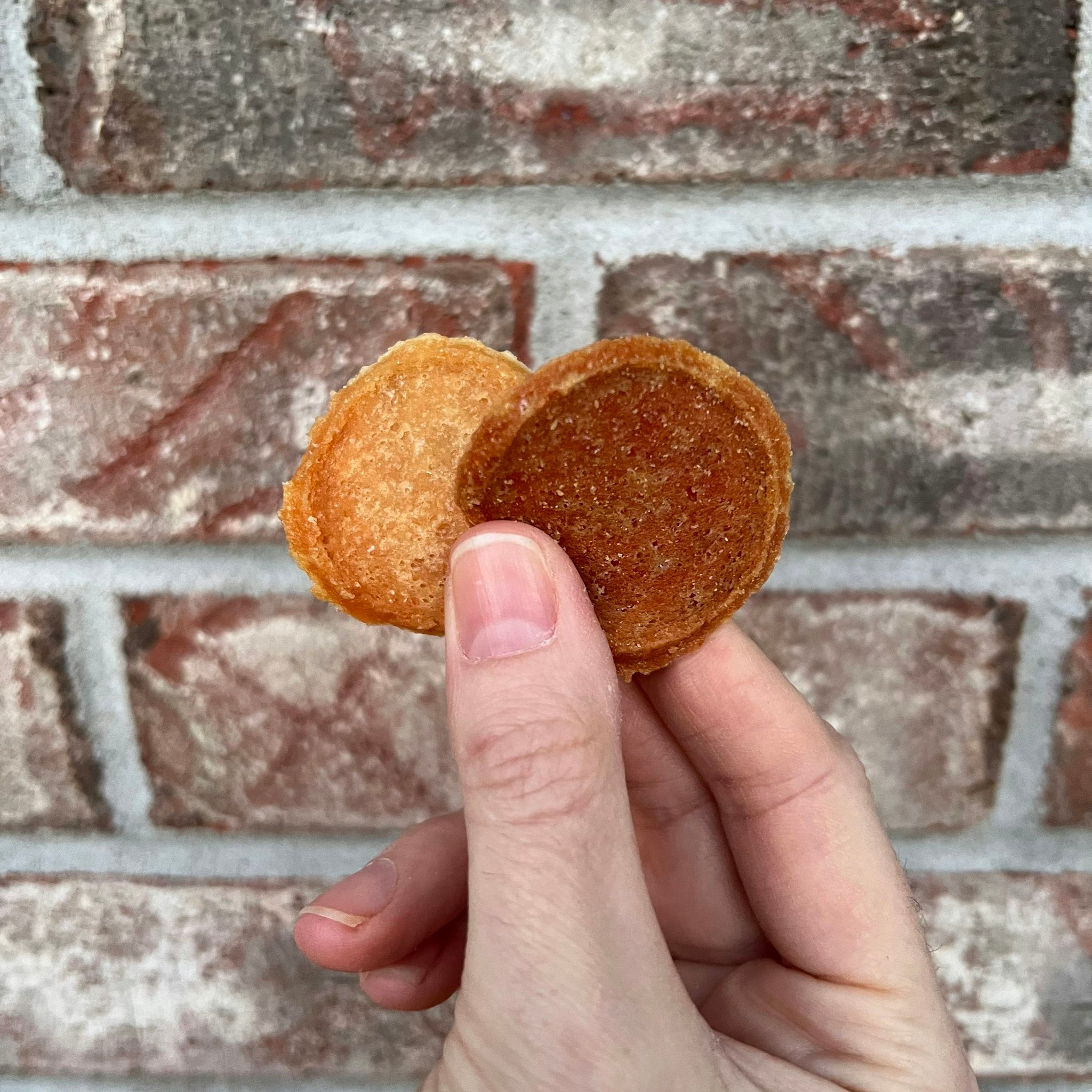 Farm to Pet chicken and turkey chip help by a hand.