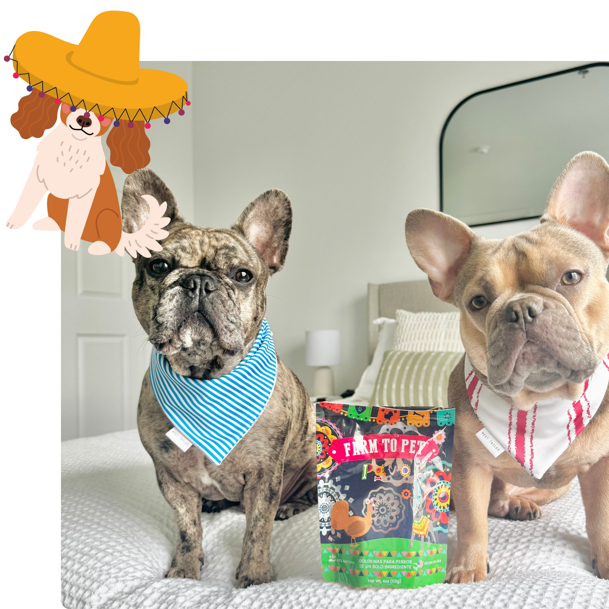Two dogs on a white bed with a 'Farm to Pet' Fiesta bag between them, with a cartoon dog in a hat in the corner.