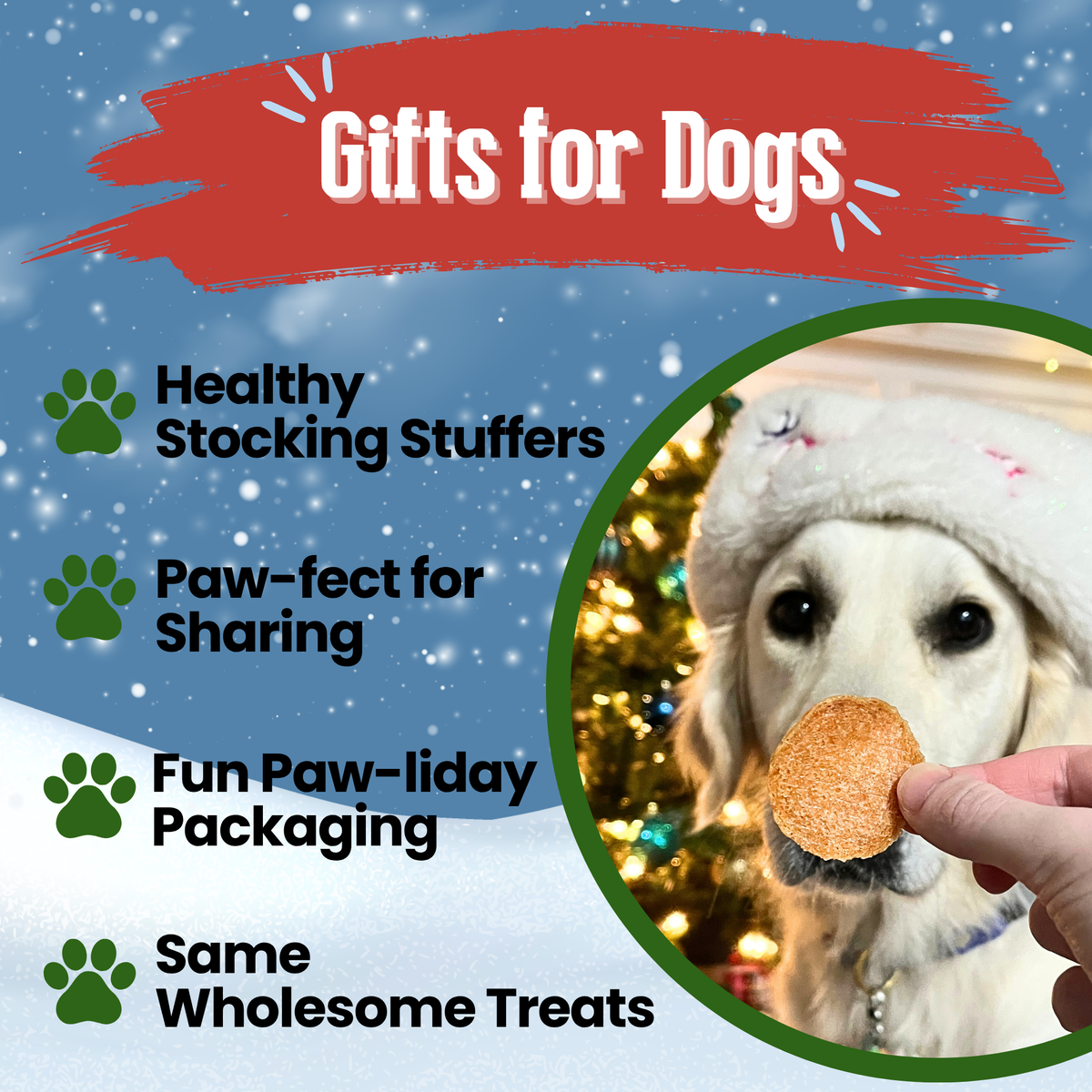 Dog in a winter hat with a Holiday Chicken Chip: healthy Christmas gifts and stocking stuffers for dogs