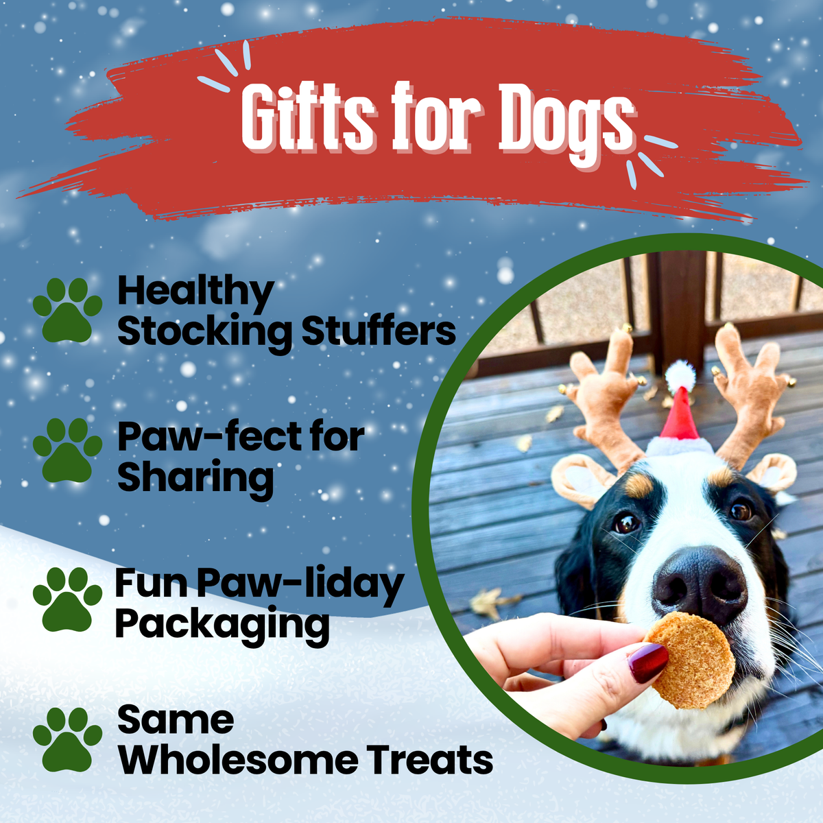 Dog in reindeer antlers with the Elf Stocking: Christmas Chicken Chips, a healthy dog stocking stuffer