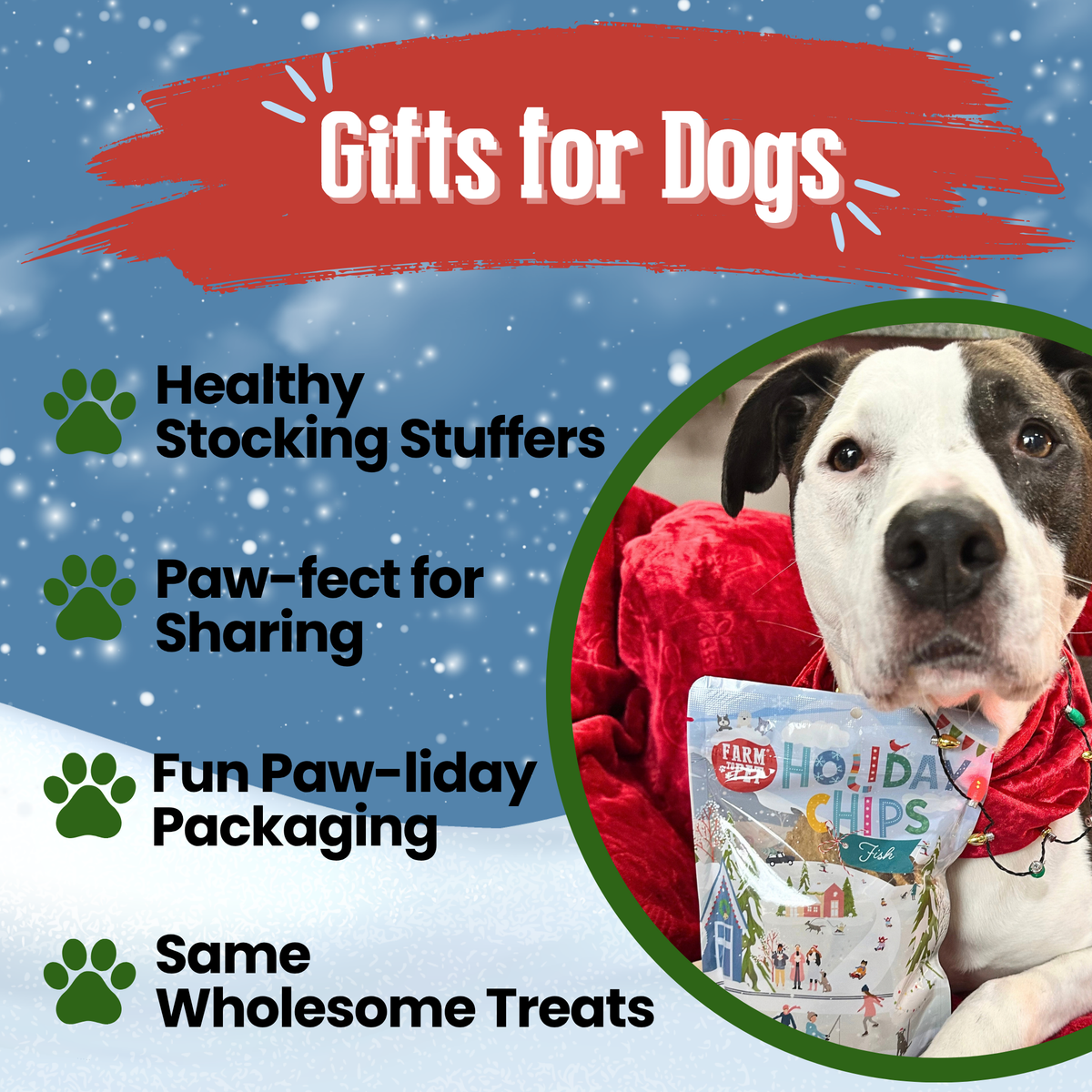 Dog with Holiday Fish Chips: low-allergen Christmas gifts and stocking stuffers for dogs