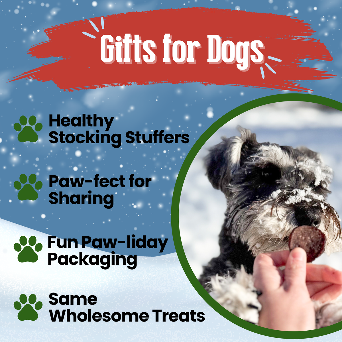 Schnauzer with a Holiday Beef Chip: healthy Christmas gifts and stocking stuffers for dogs