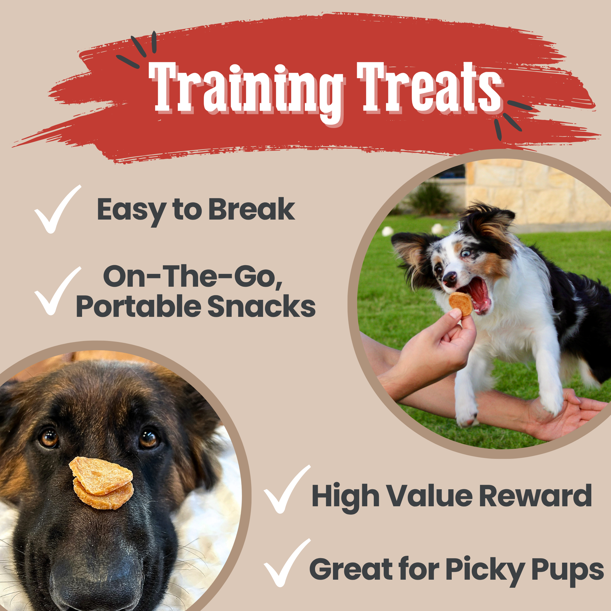 Dog training treats advertisement with a dog eating a treat and text highlighting features.