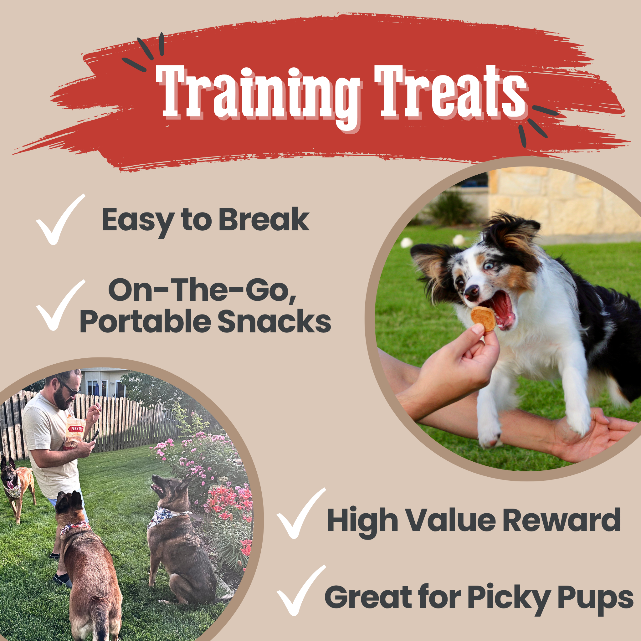 Dog training treats advertisement with a dog eating a treat and text highlighting features.