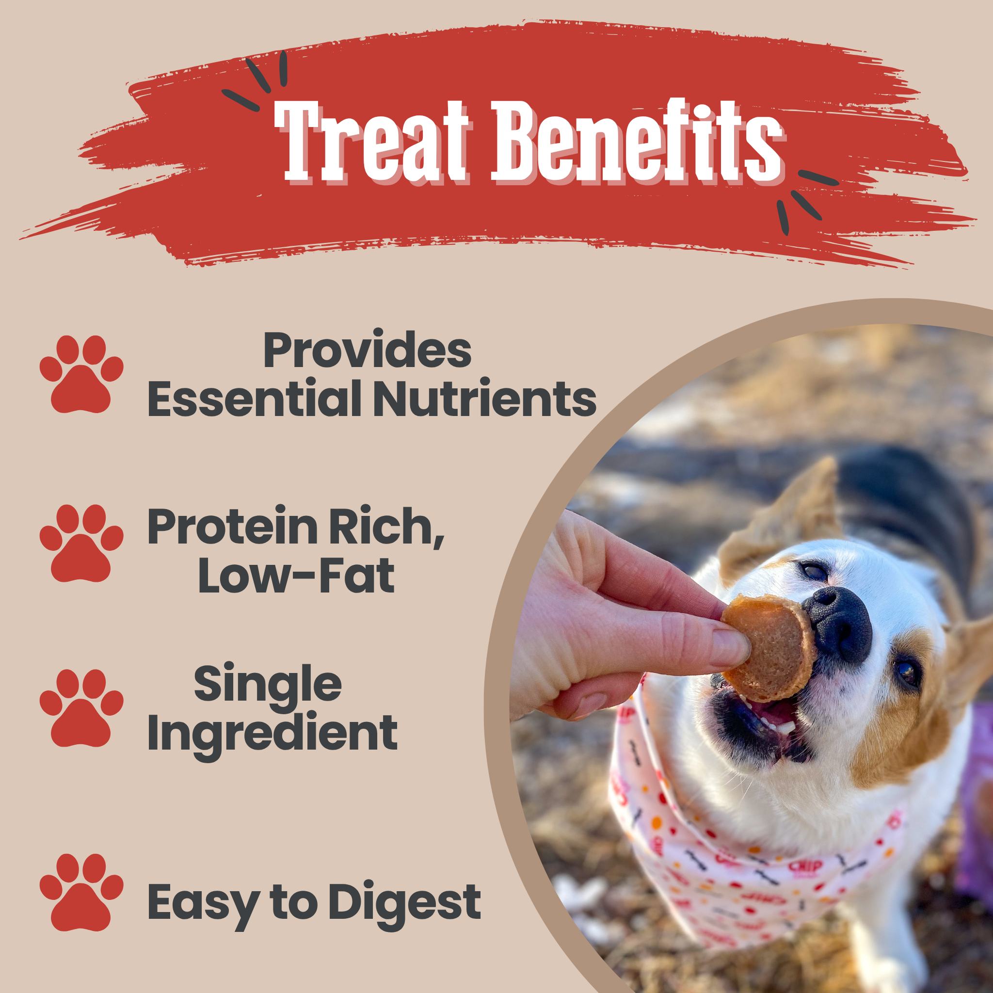 Dog receiving a treat with text highlighting benefits on a beige background