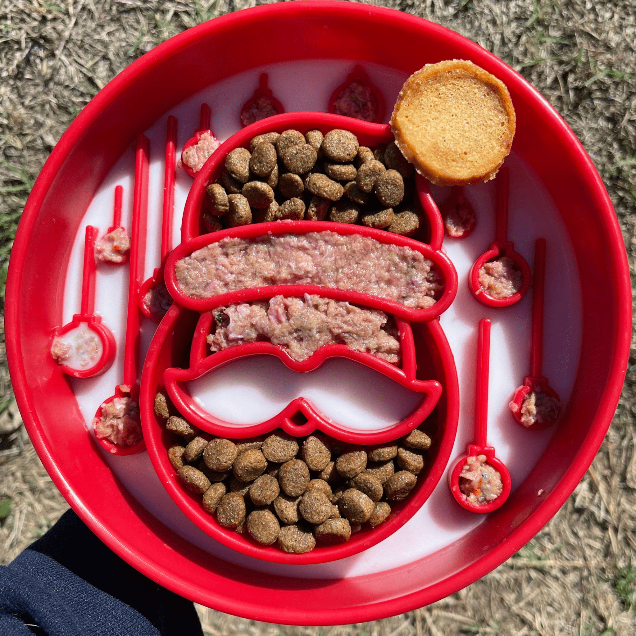 SodaPup Enrichment Bowl Honeycomb Design eBowl Slow Feeder for Dogs
