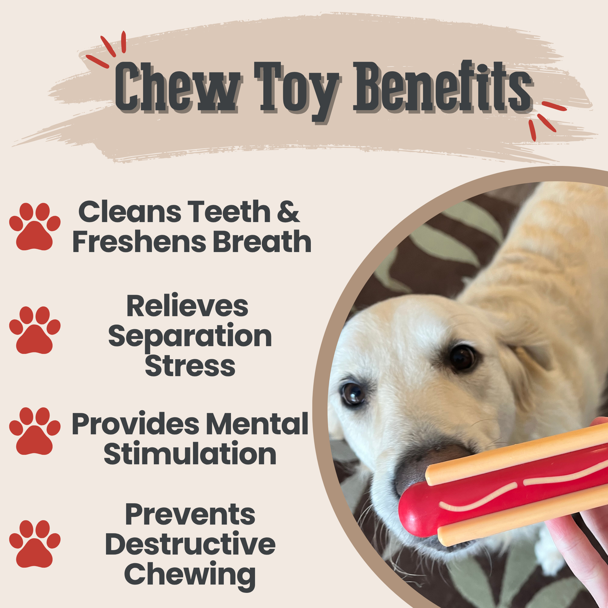 Dog chew toy benefits with a dog holding a toy and text listing benefits.