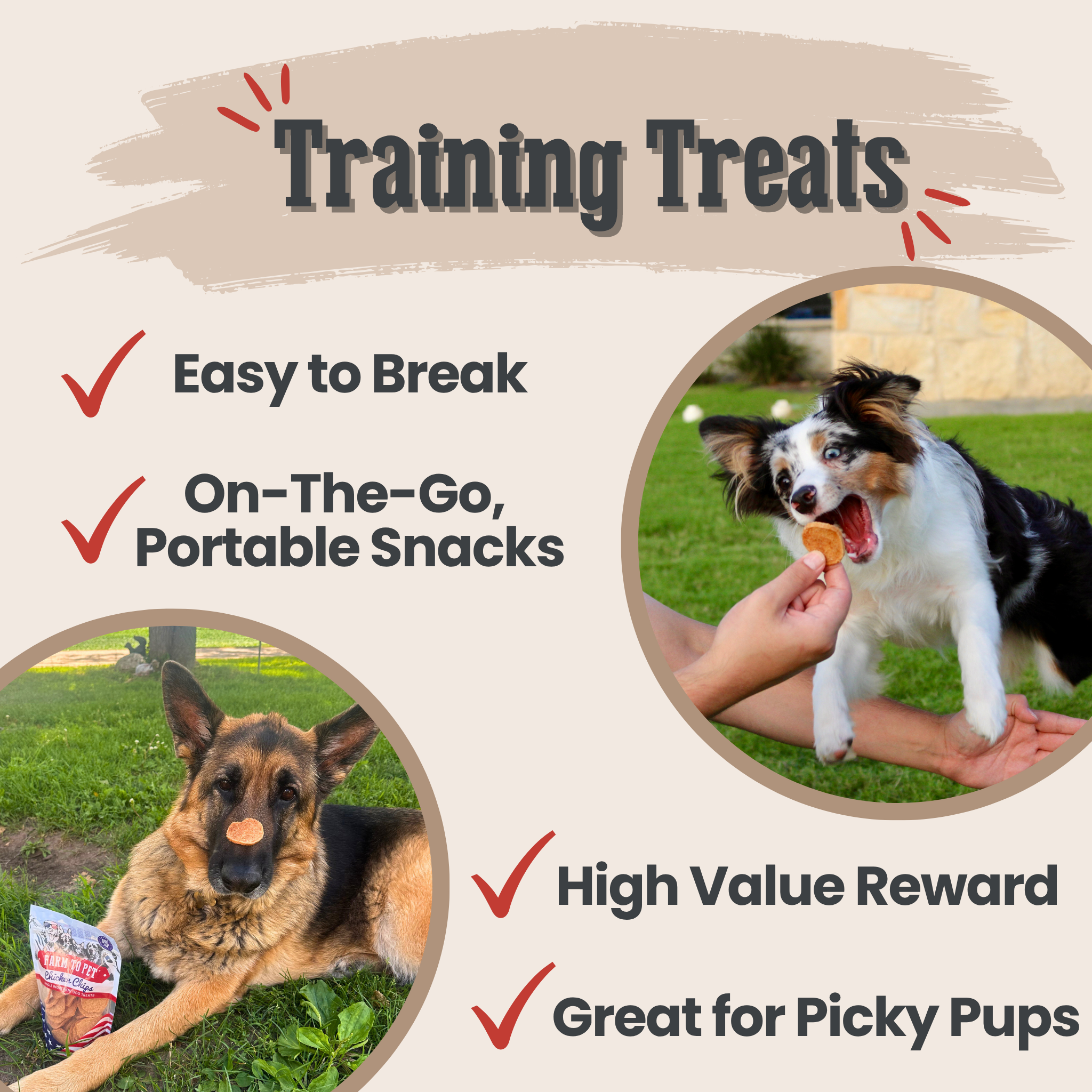 Dog training treats with images of a dog and a person rewarding a dog, and text highlighting features. | media-group:value-12oz-red-fireworks