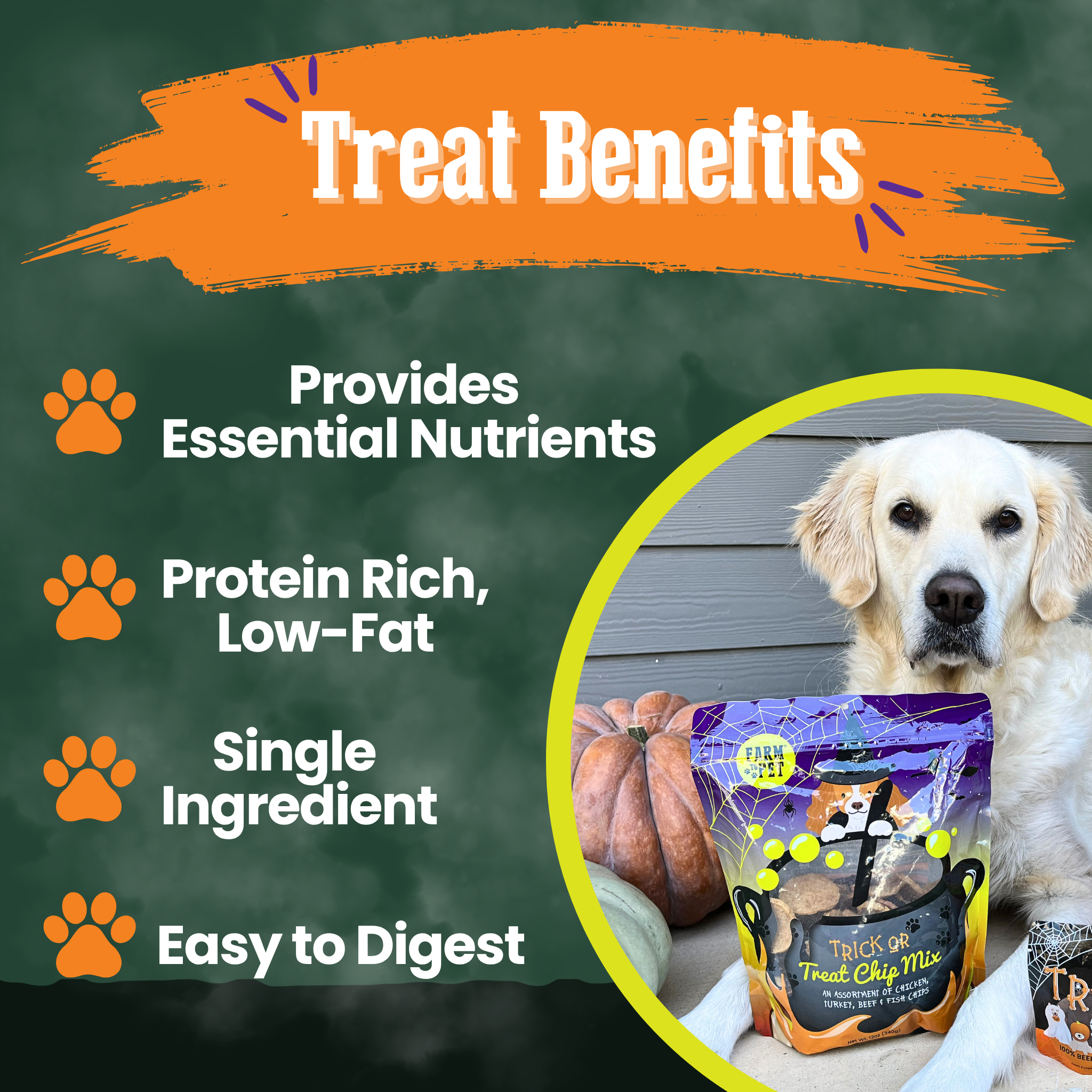 Trick or Treat Chip Mix Halloween Dog Treats