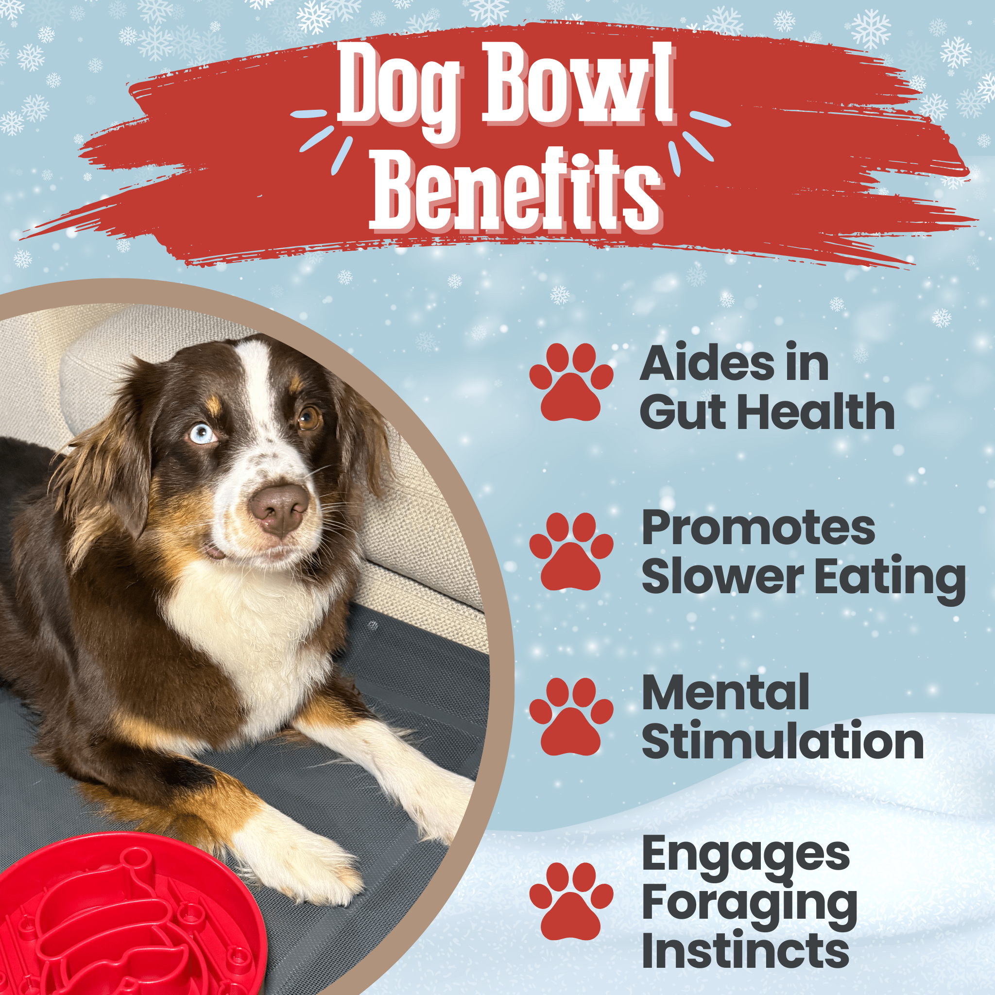 SodaPup Enrichment Bowl Honeycomb Design eBowl Slow Feeder for Dogs