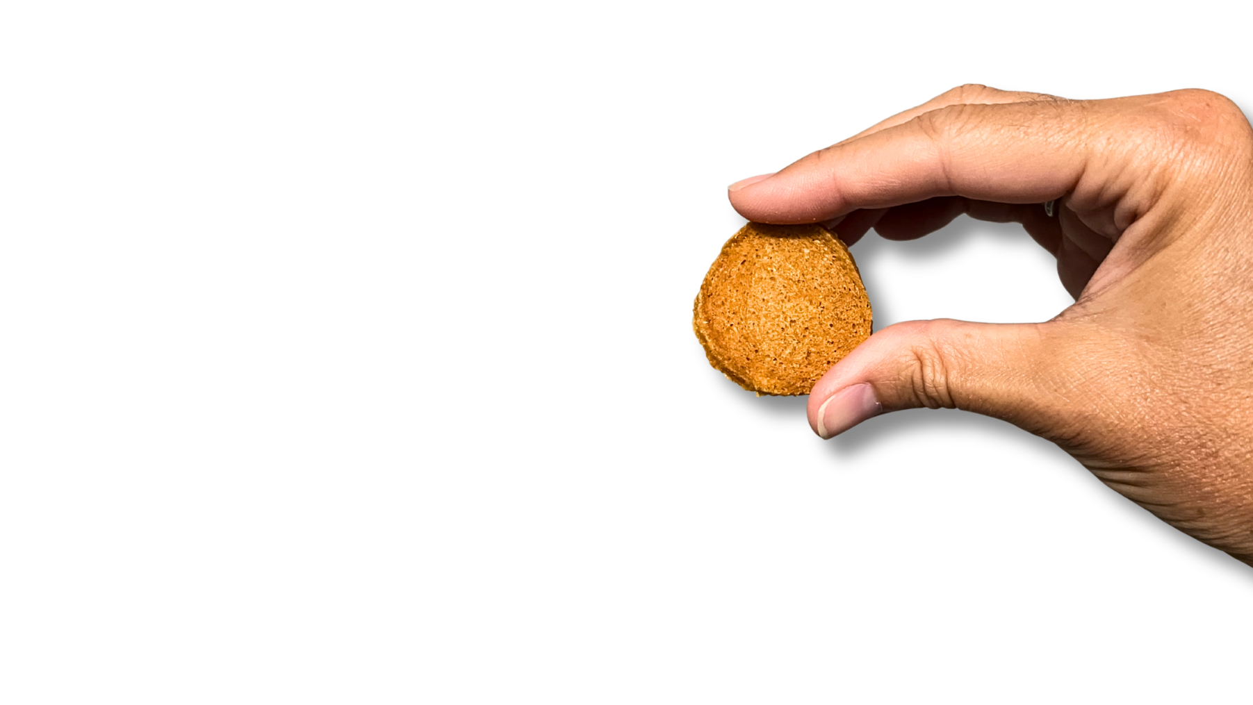 Hand holding a chicken chip against a white background 
