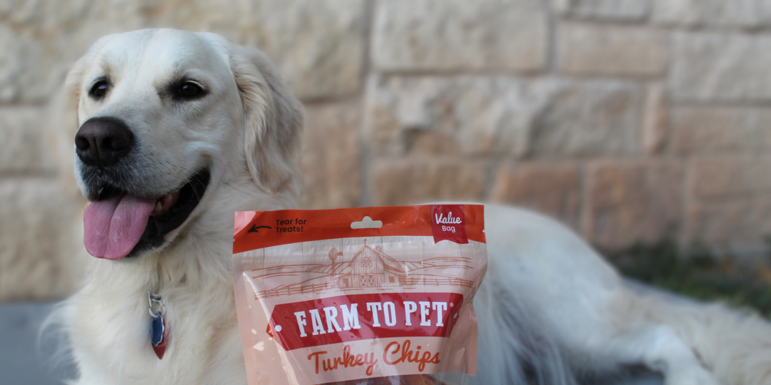 Dogs Treat Brand Ambassador Program Farm To Pet