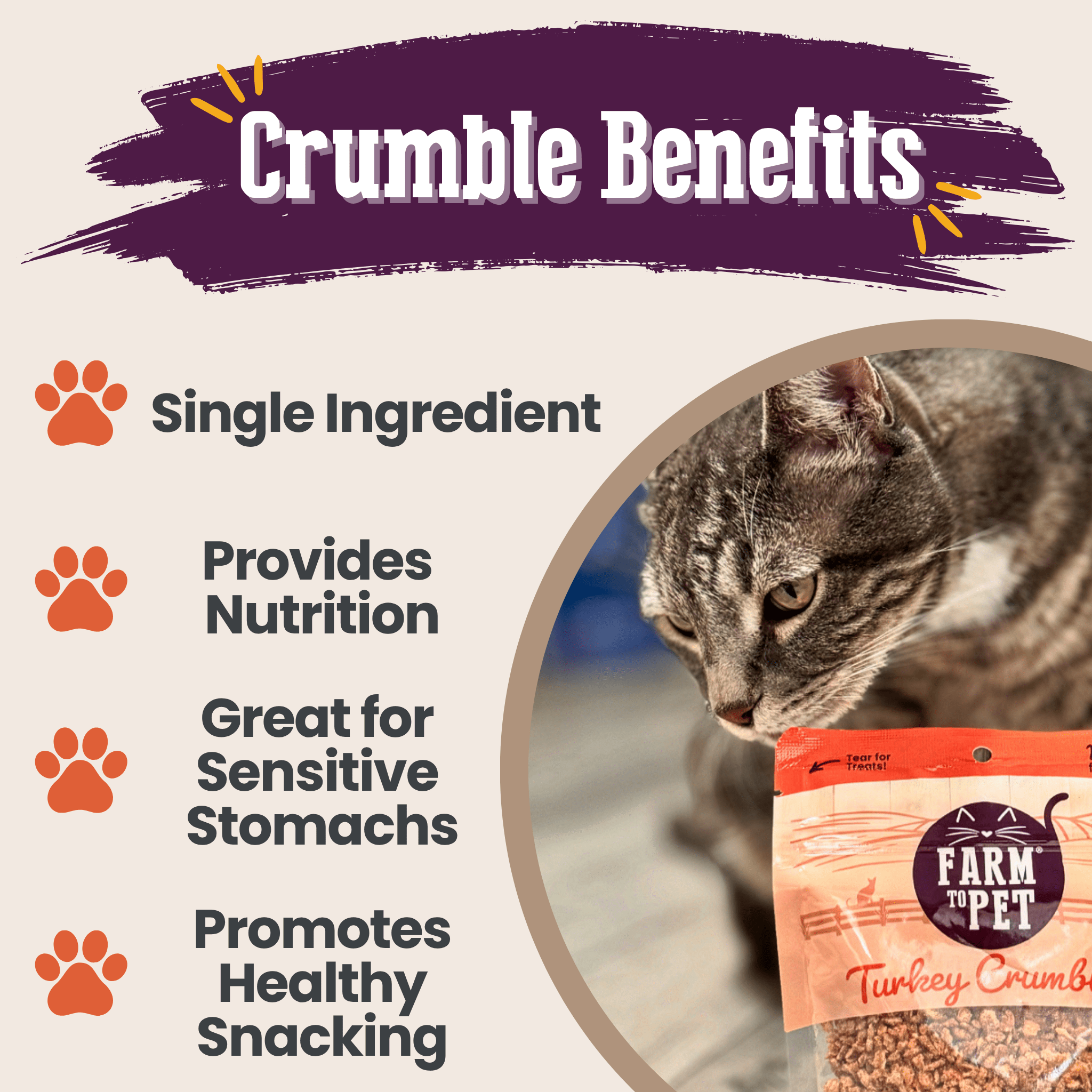 Do Cat Treats Have Any Nutritional Value? Surprising Facts Revealed